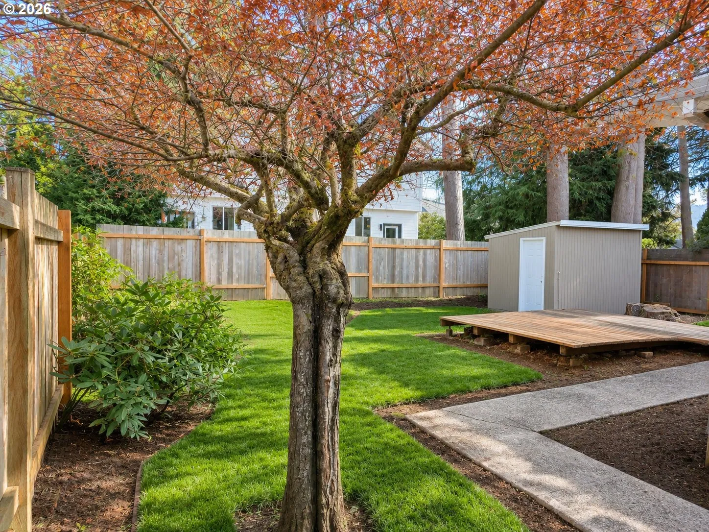 Backyard-Fenced
