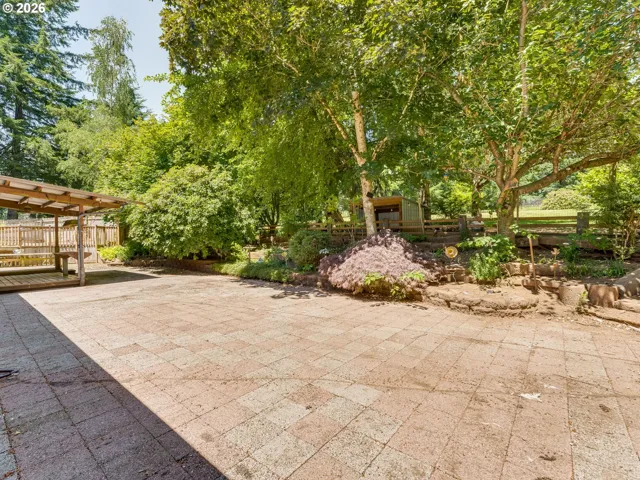 Backyard-View From