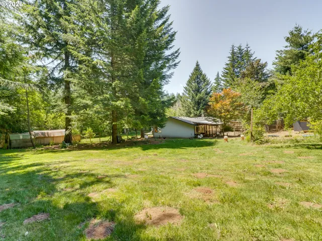 Backyard-View From
