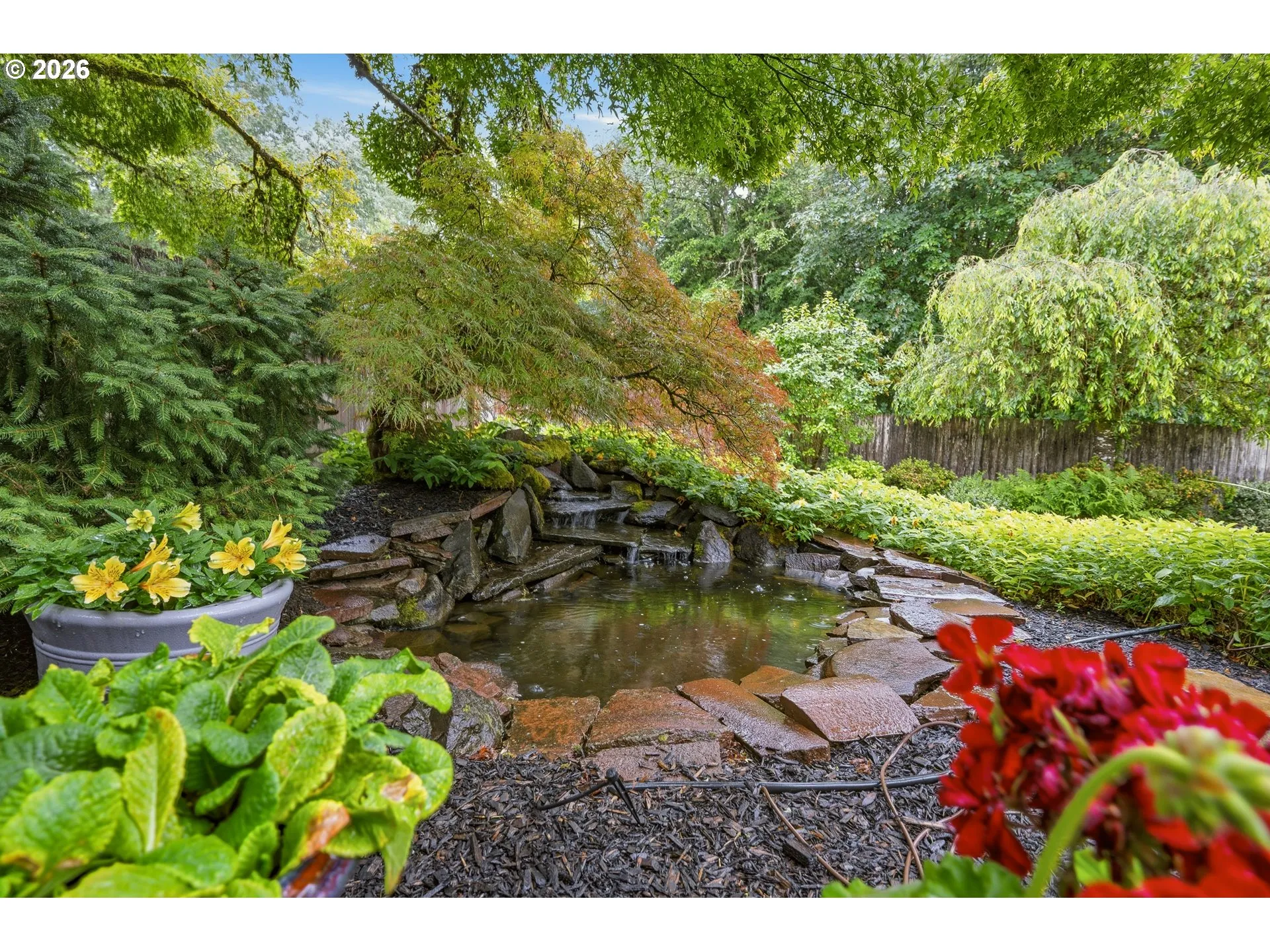 Water Feature