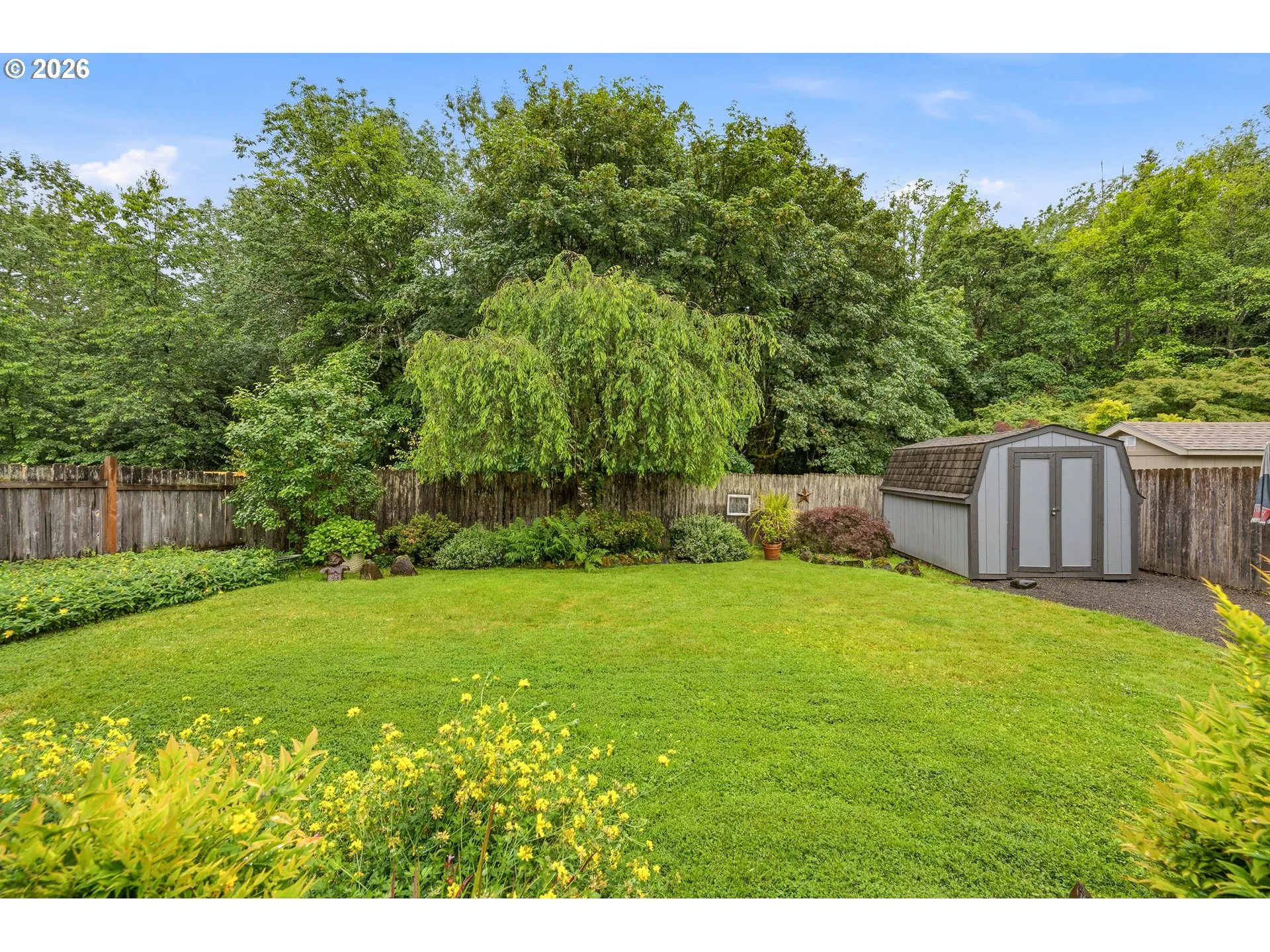 Backyard