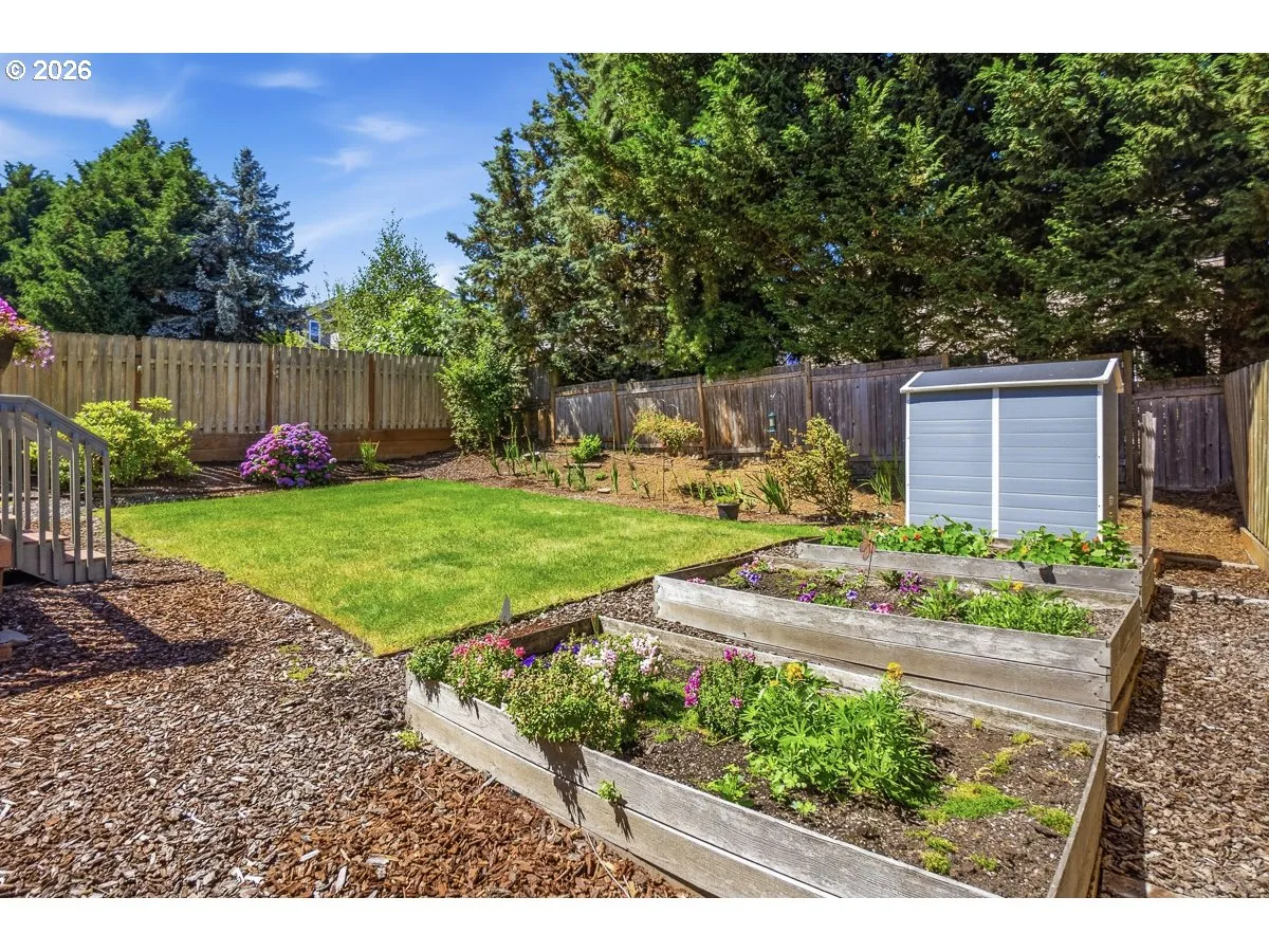 Backyard