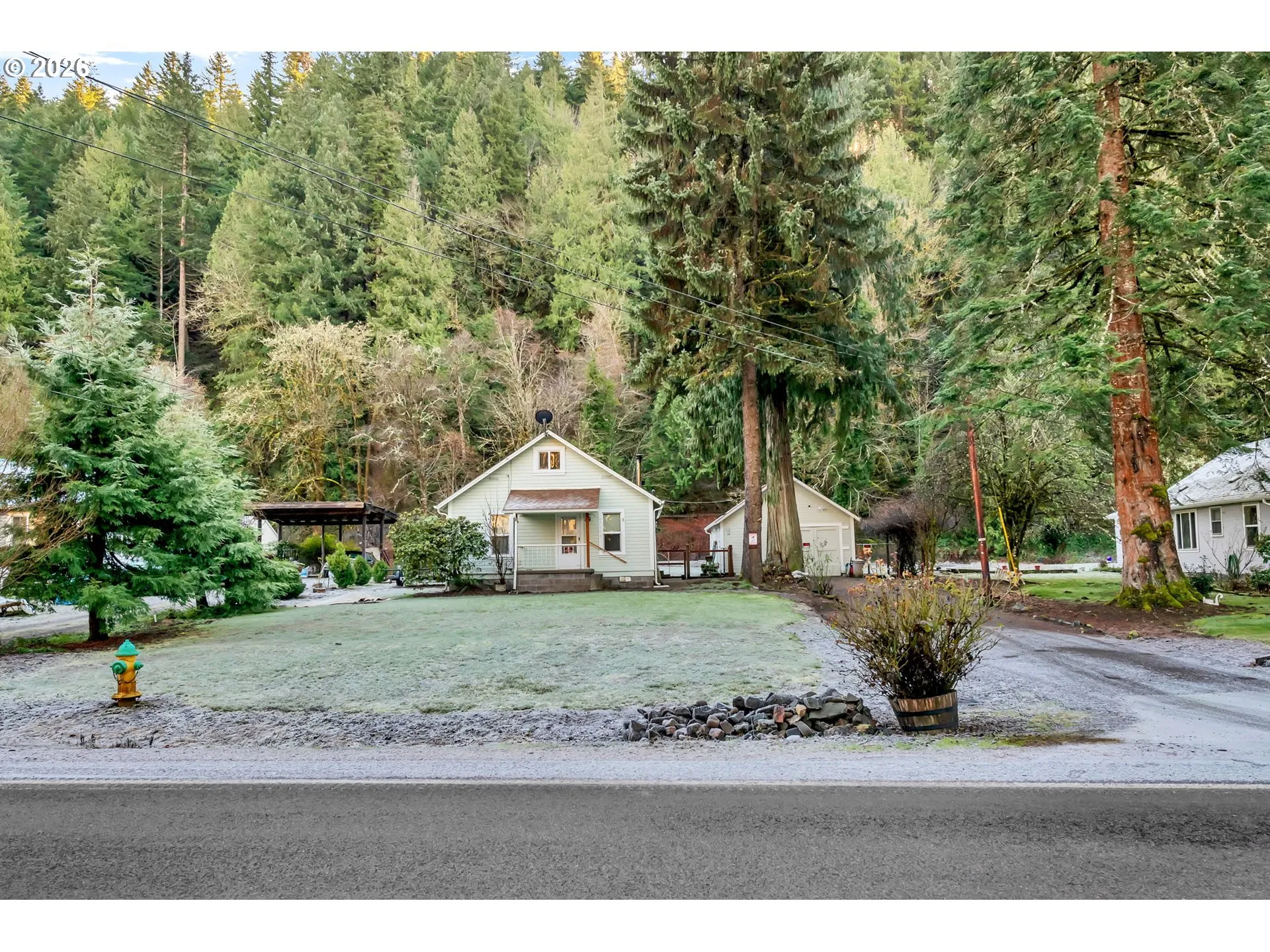Front Yard