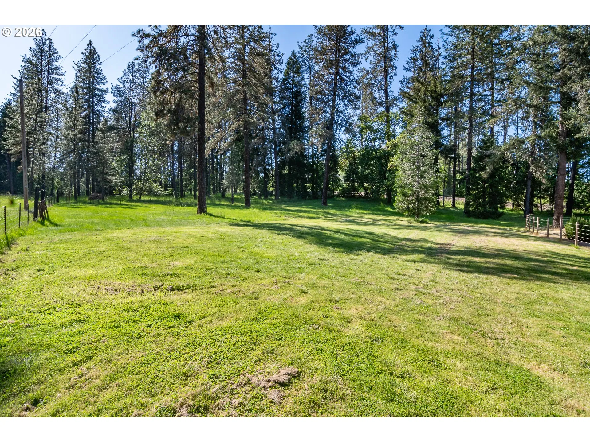 Backyard-Fenced
