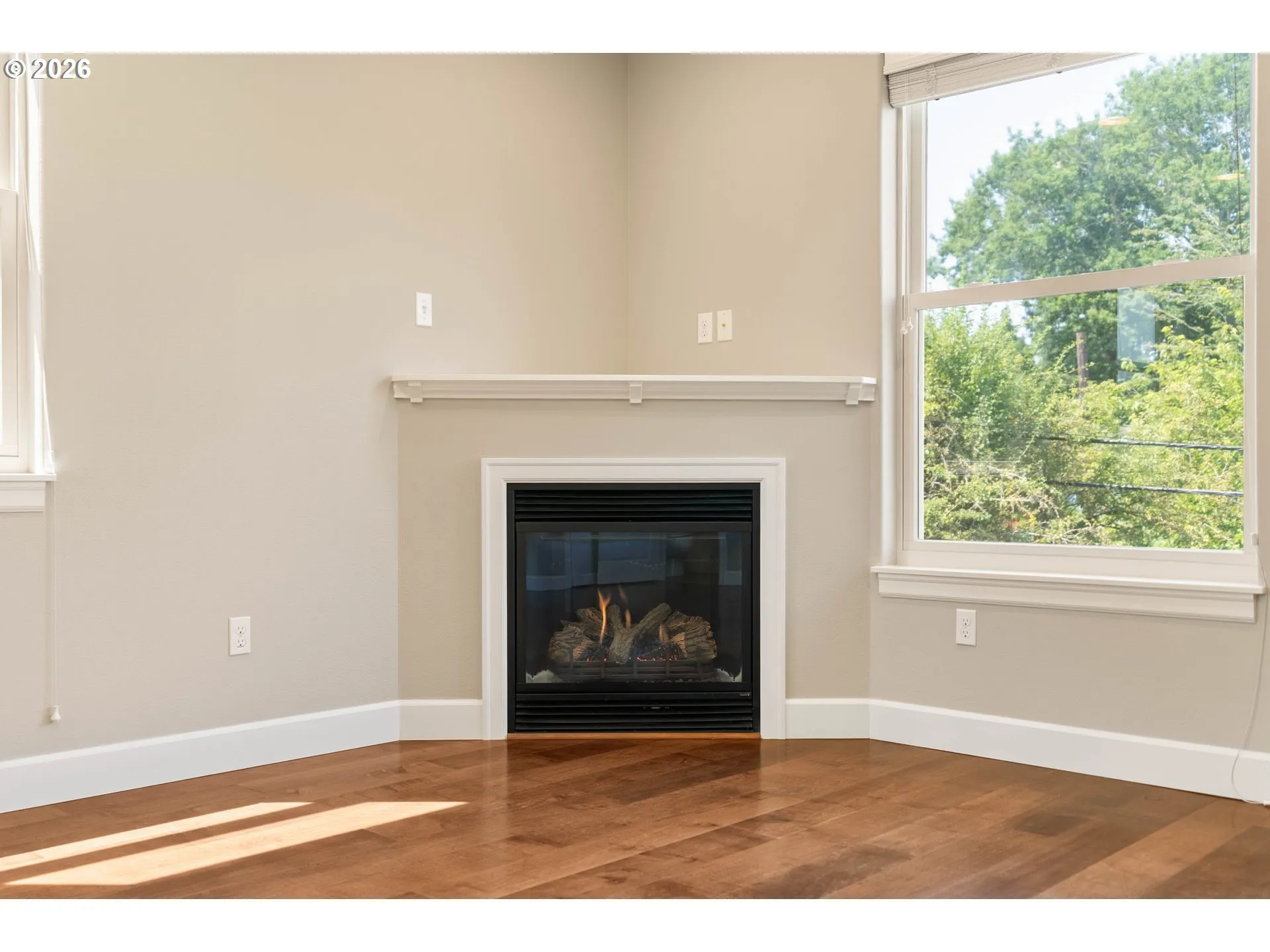 Living Room-Fireplace