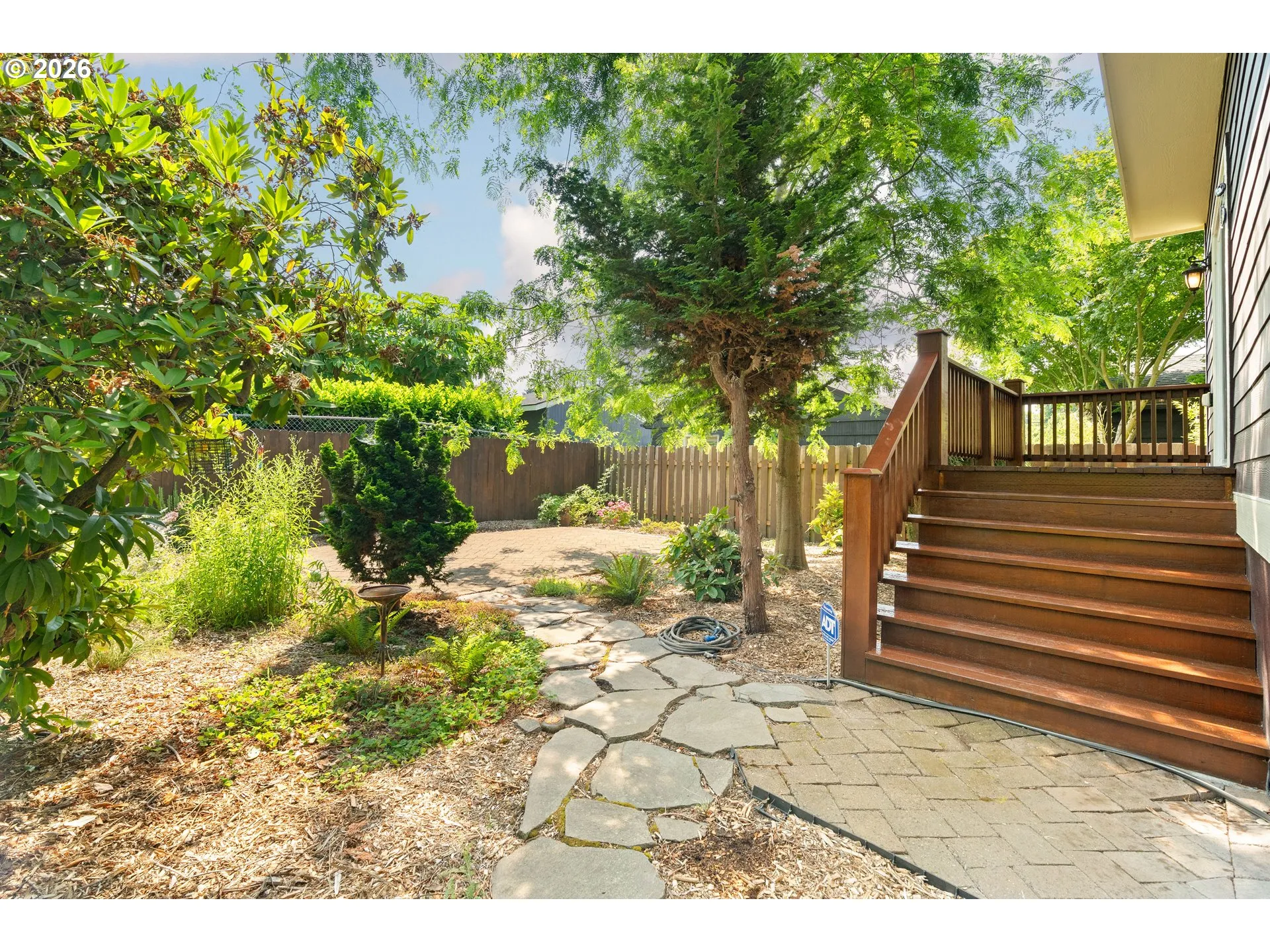 Backyard