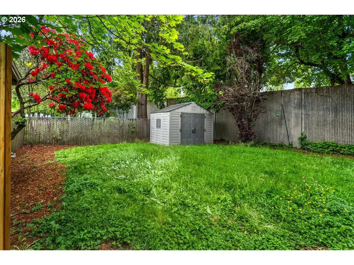 Backyard-Fenced