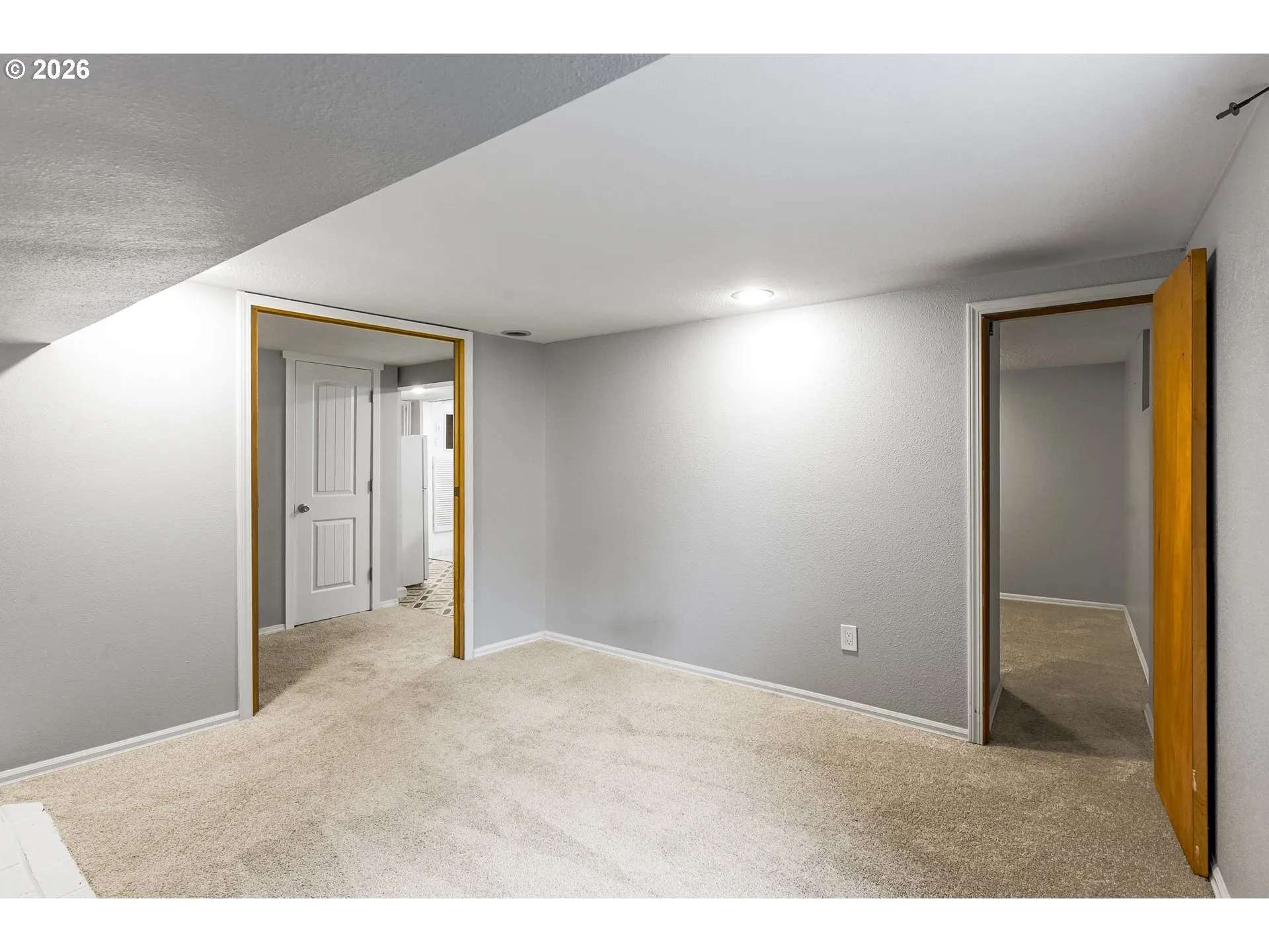 Finished Lower Level