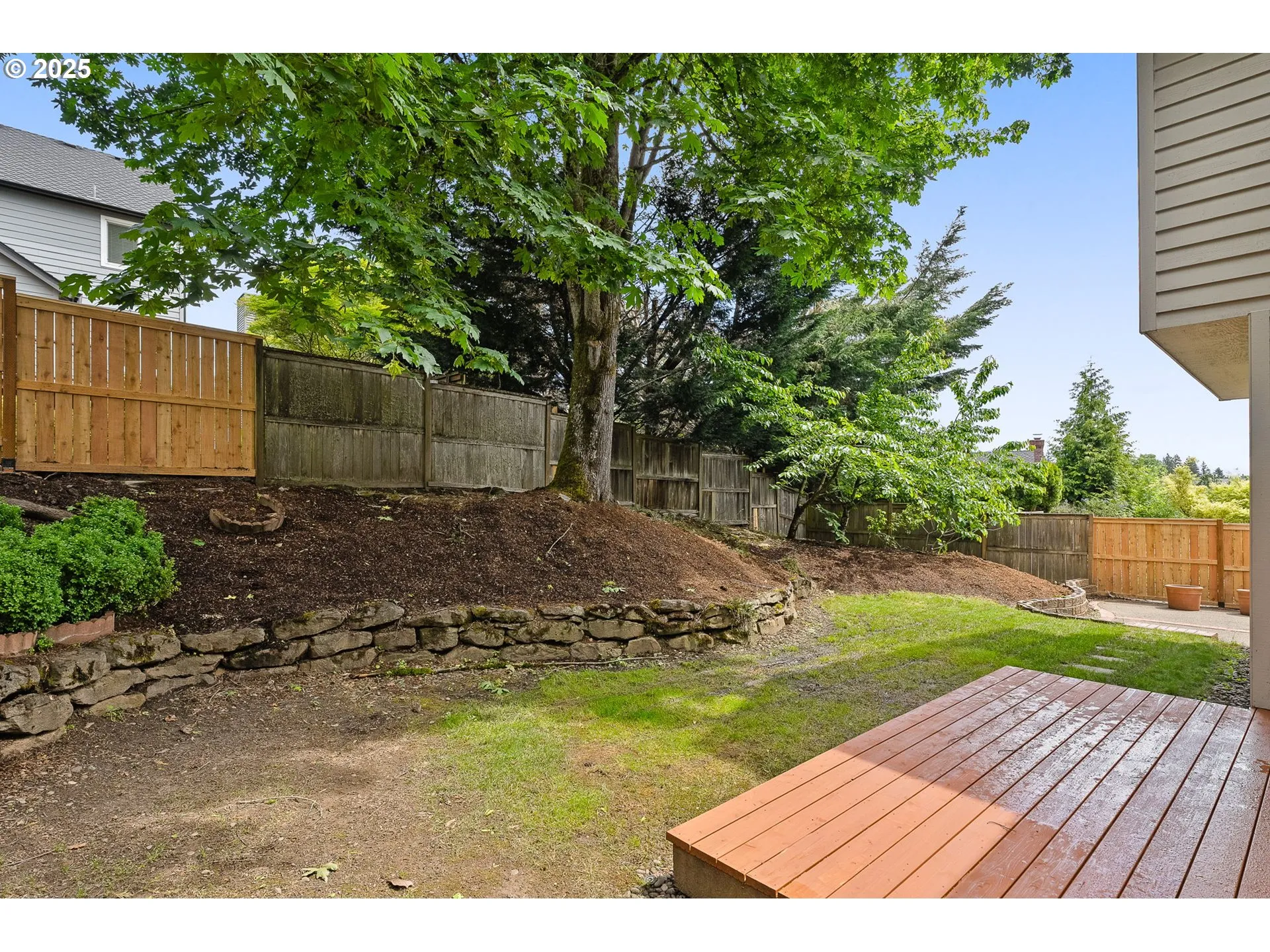 Backyard-Fenced