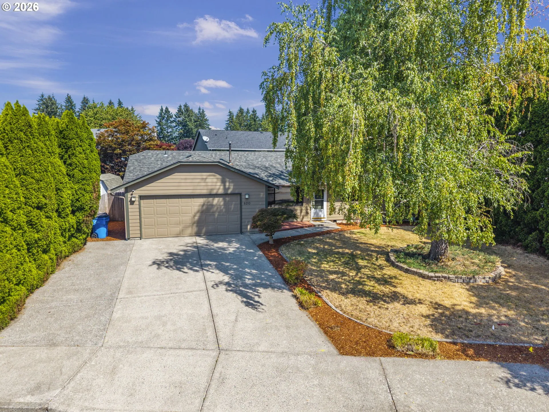 Front Yard