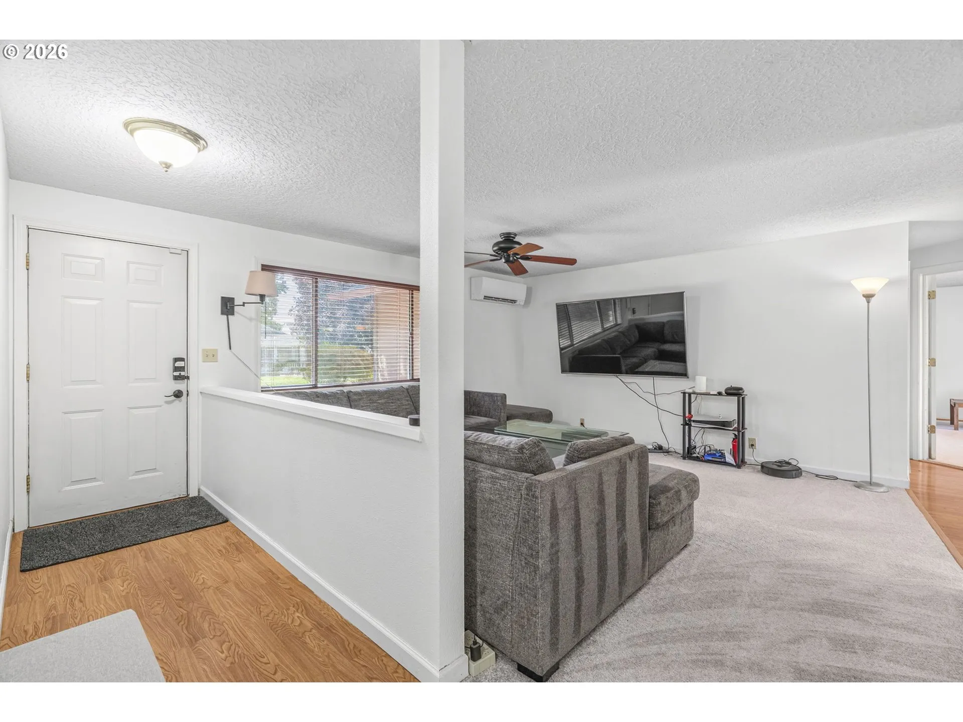 Living Room/Entrance