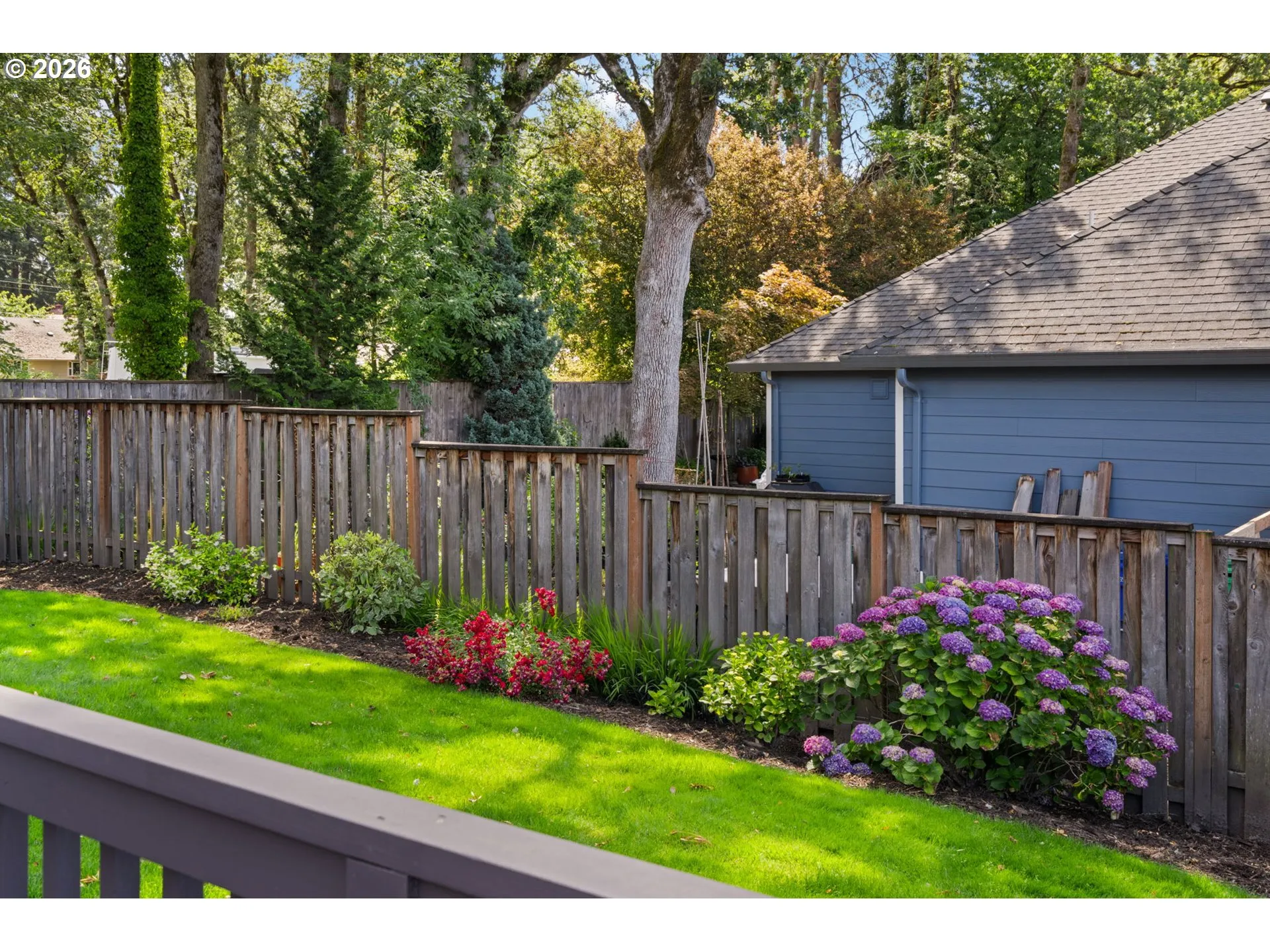 Backyard-Fenced