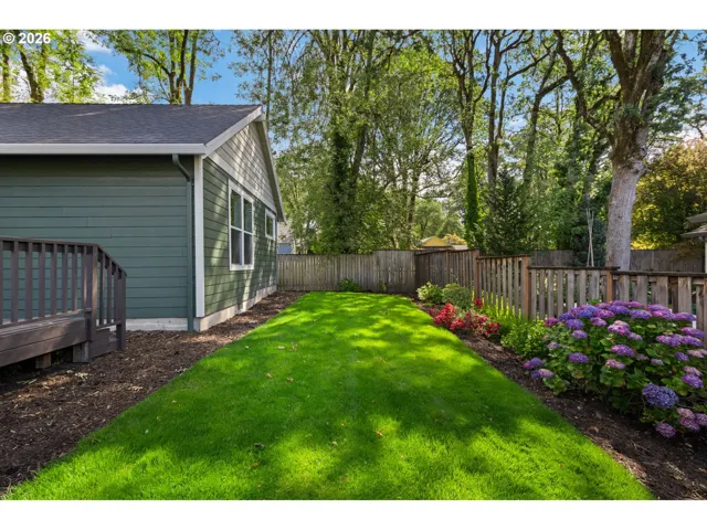 Backyard-Fenced