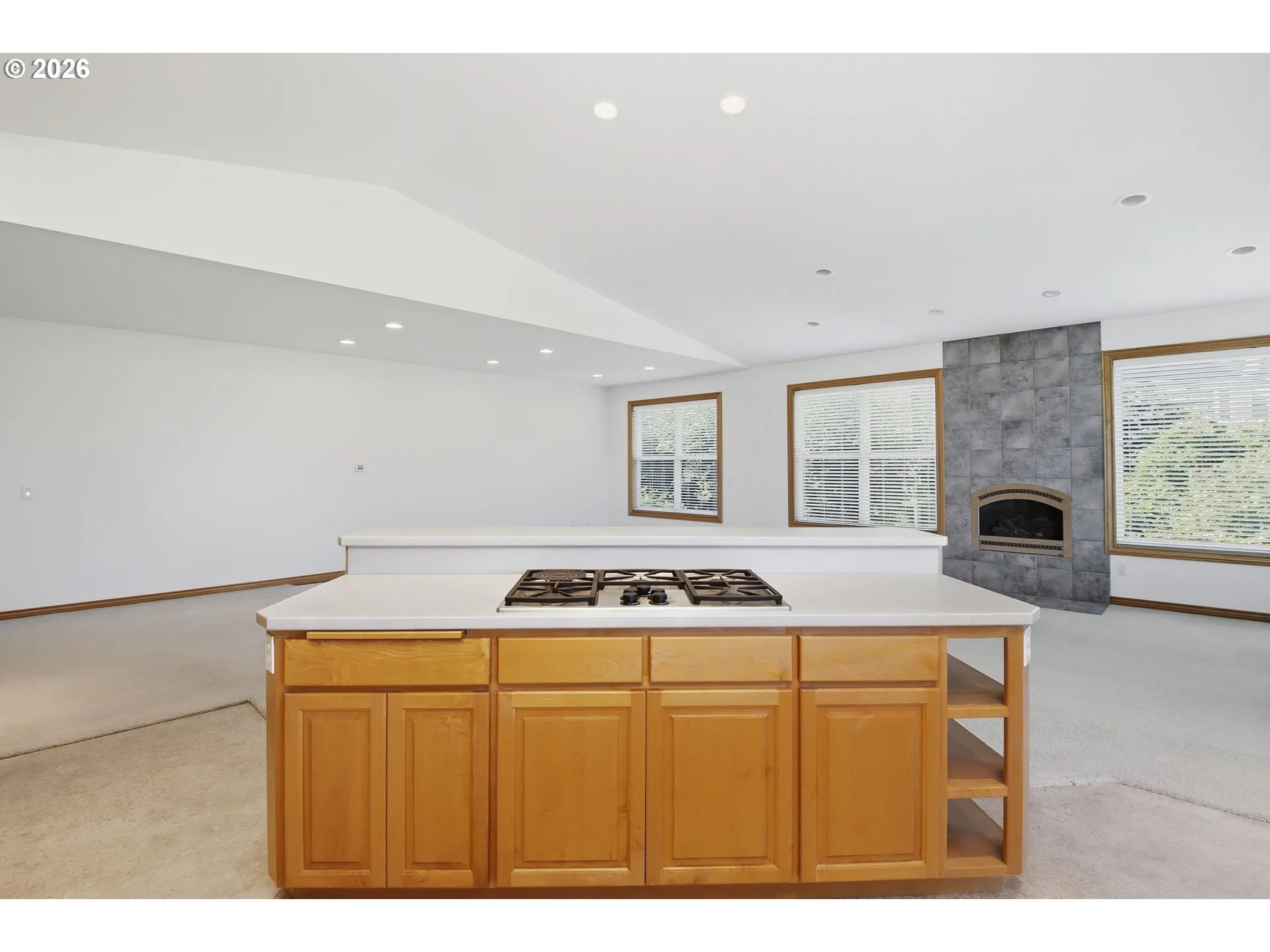 Kitchen-Cooking Island
