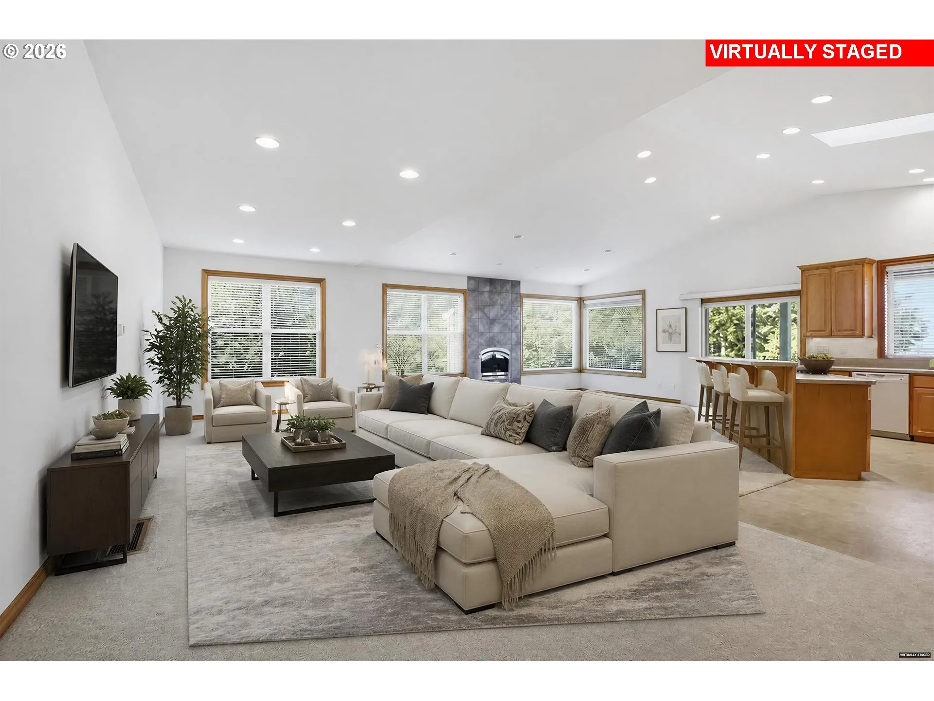 Living Room/Entrance