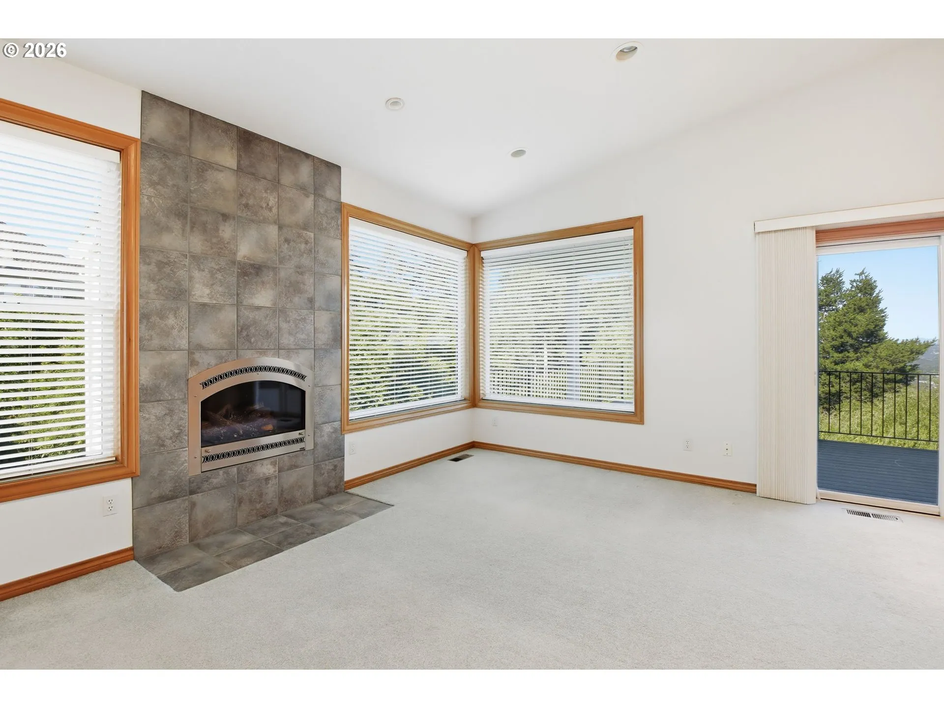 Fireplace Gas