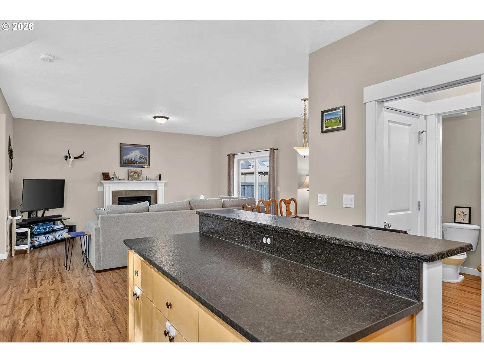 Kitchen/Living Room