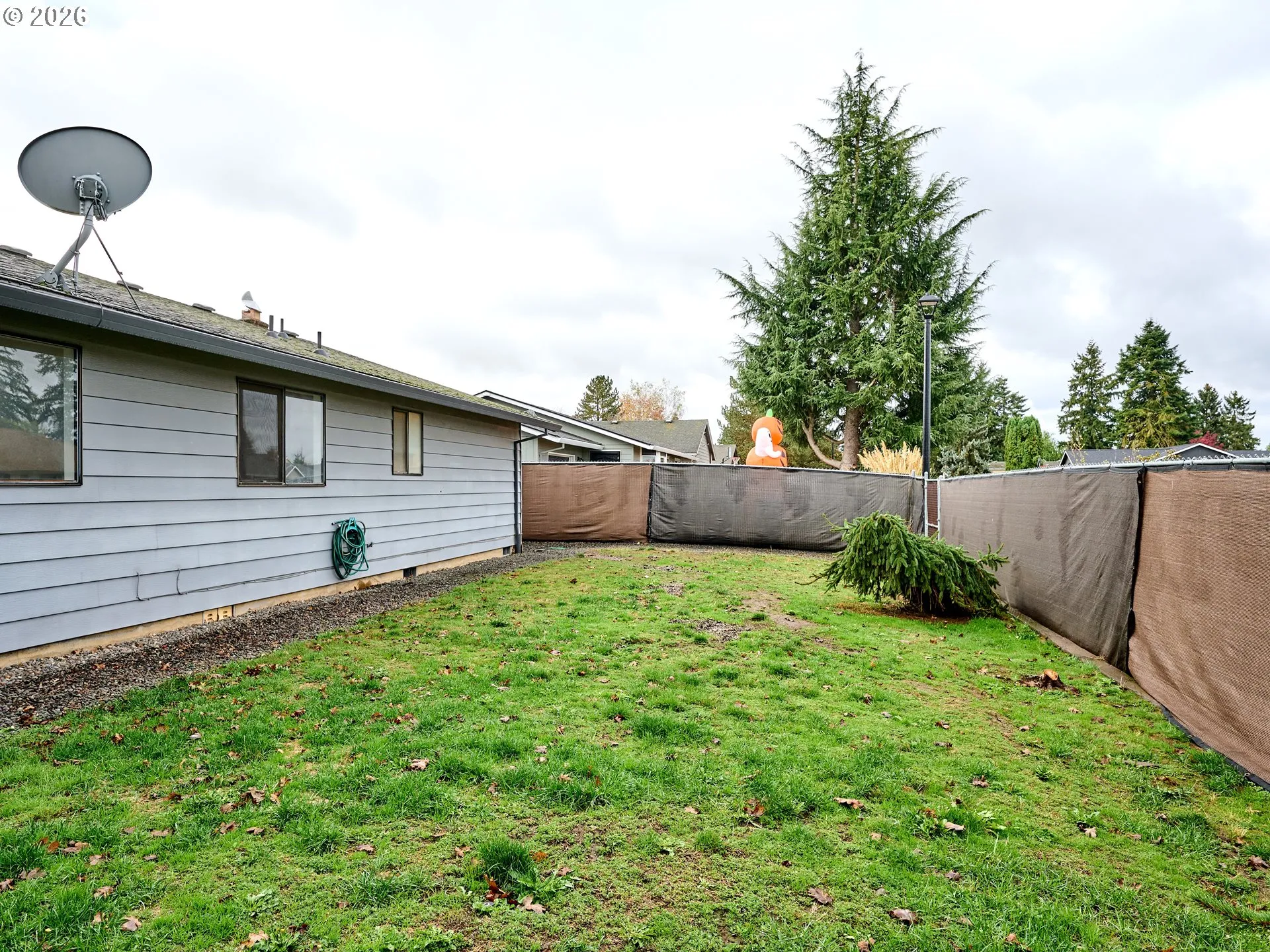 Yard