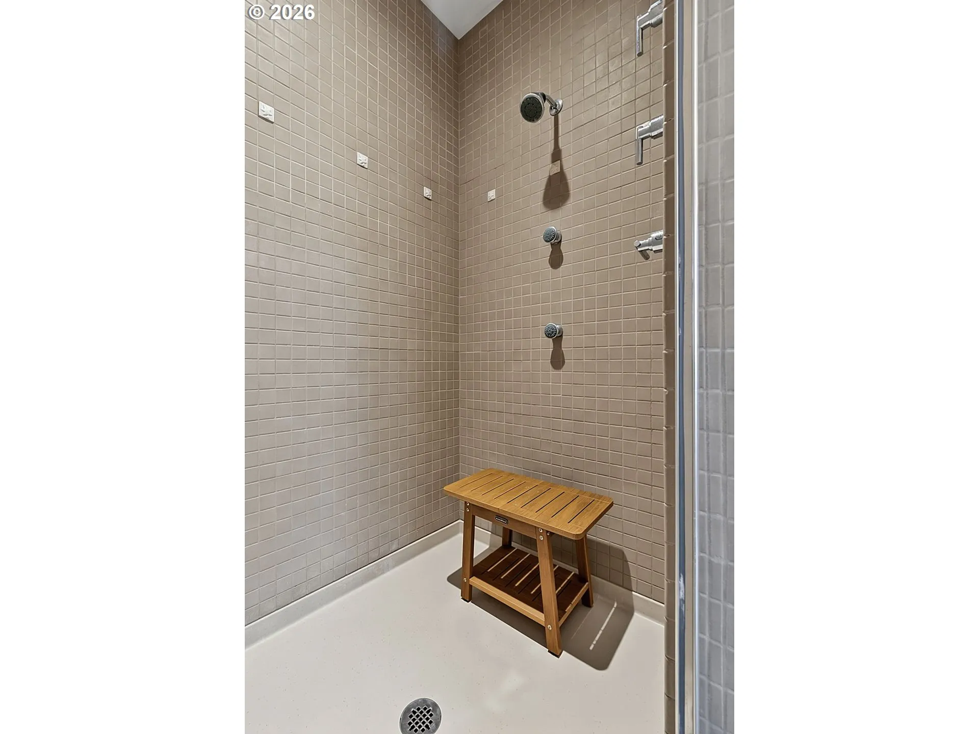 Owner's Suite Bathroom-Walk in Shower