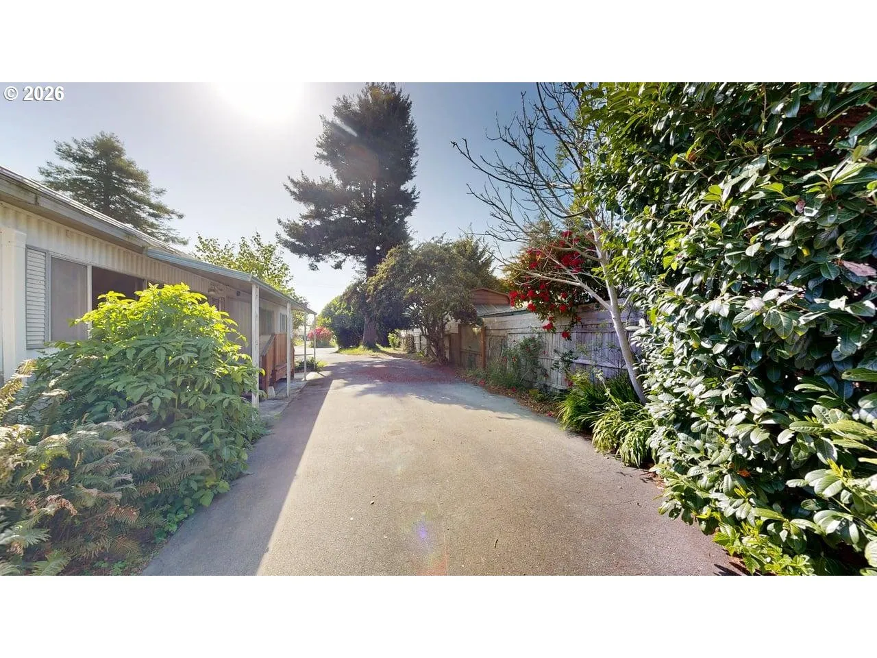 Driveway