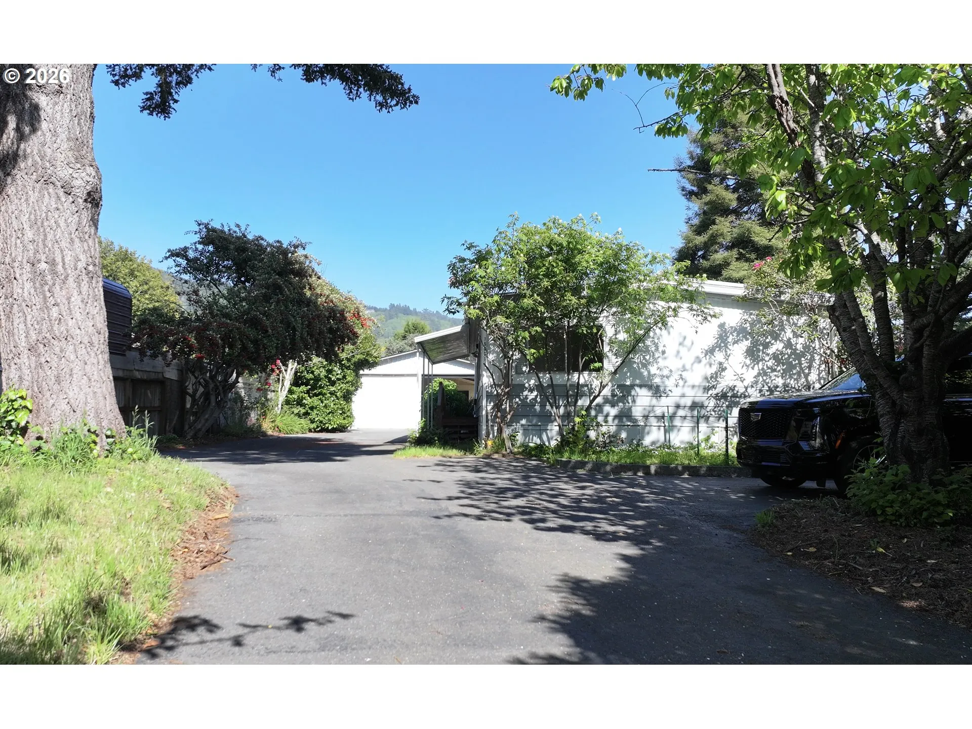 Driveway