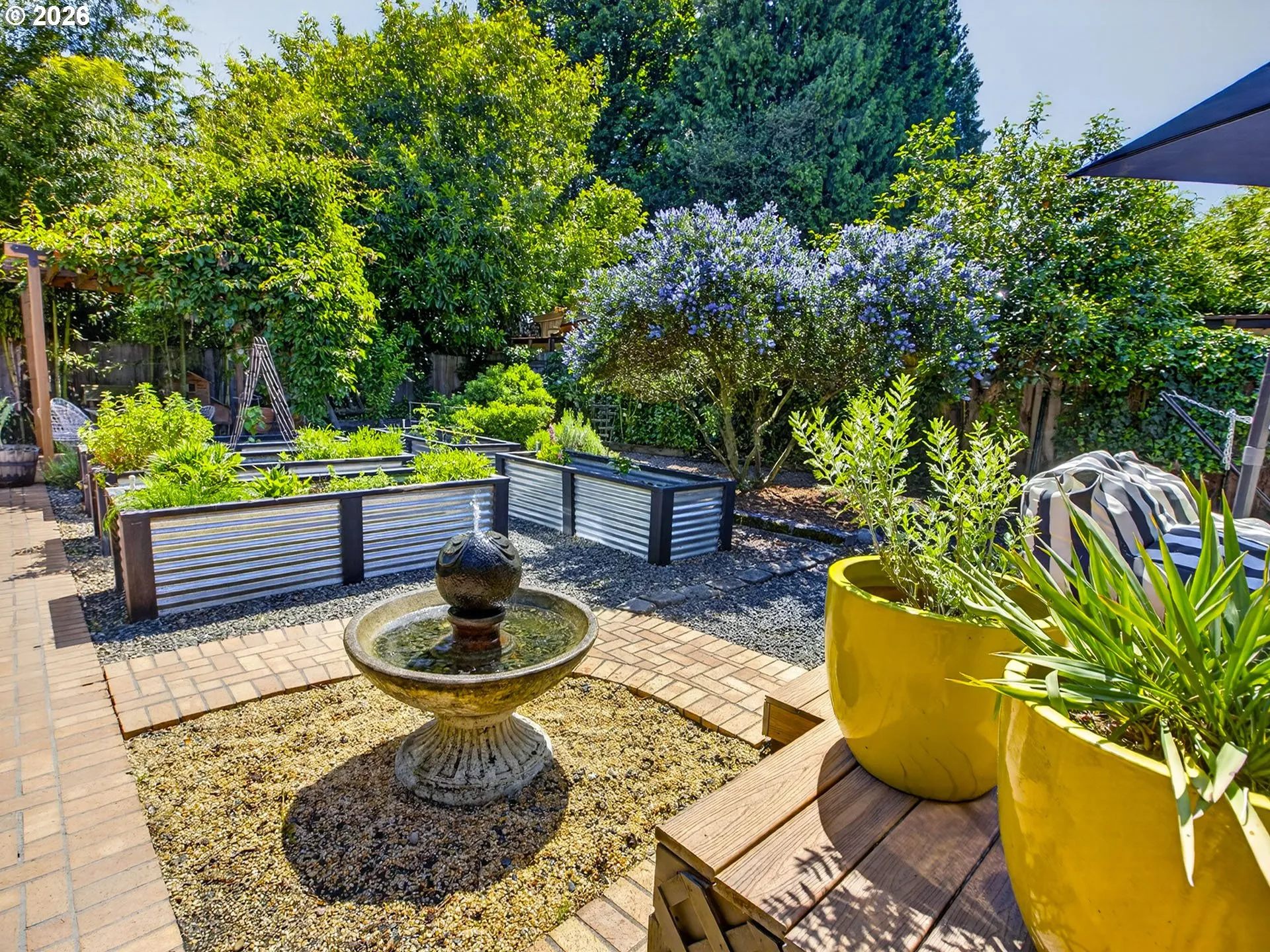 Backyard-Fenced