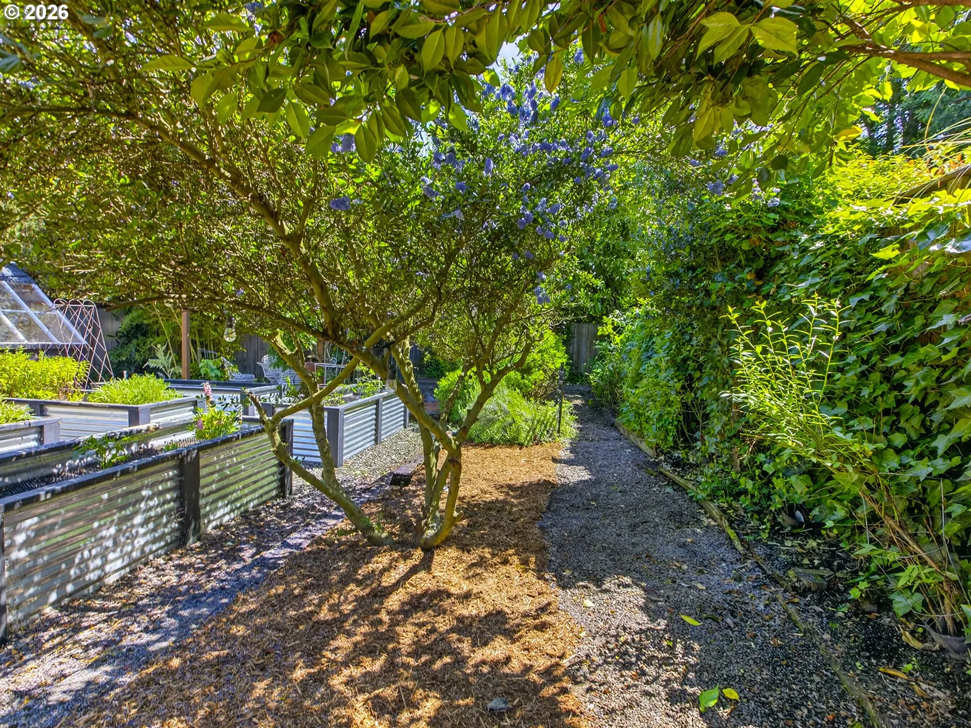 Backyard-Fenced