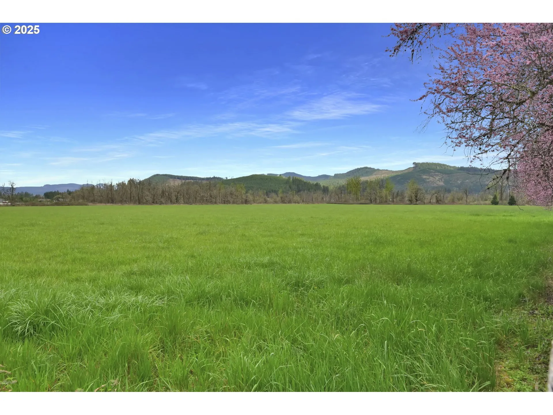 Pasture