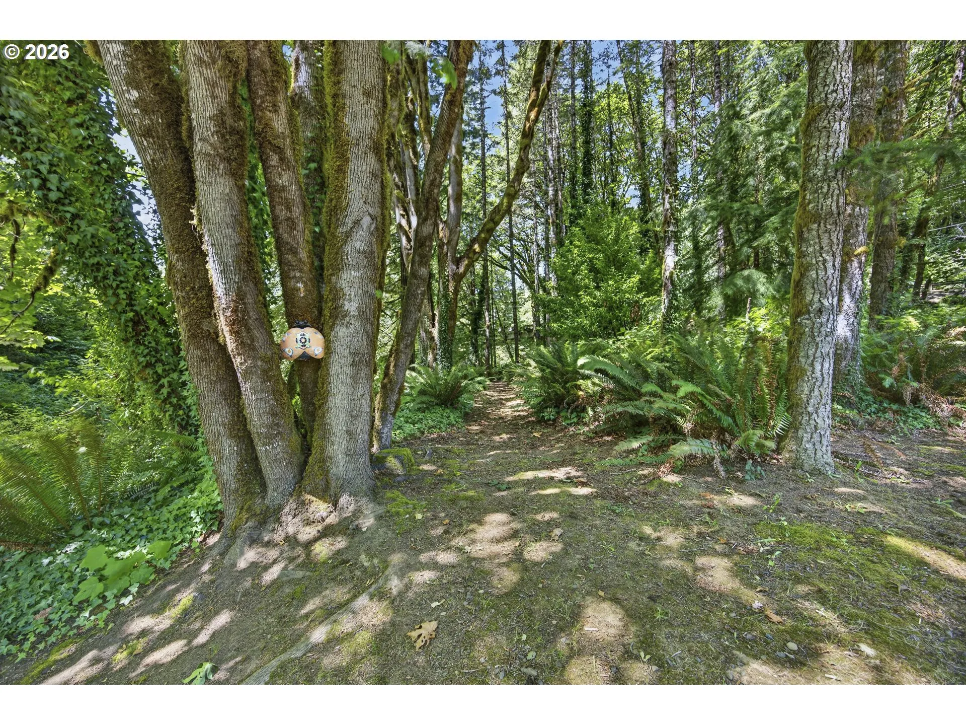 Garden-Wooded / Acreage