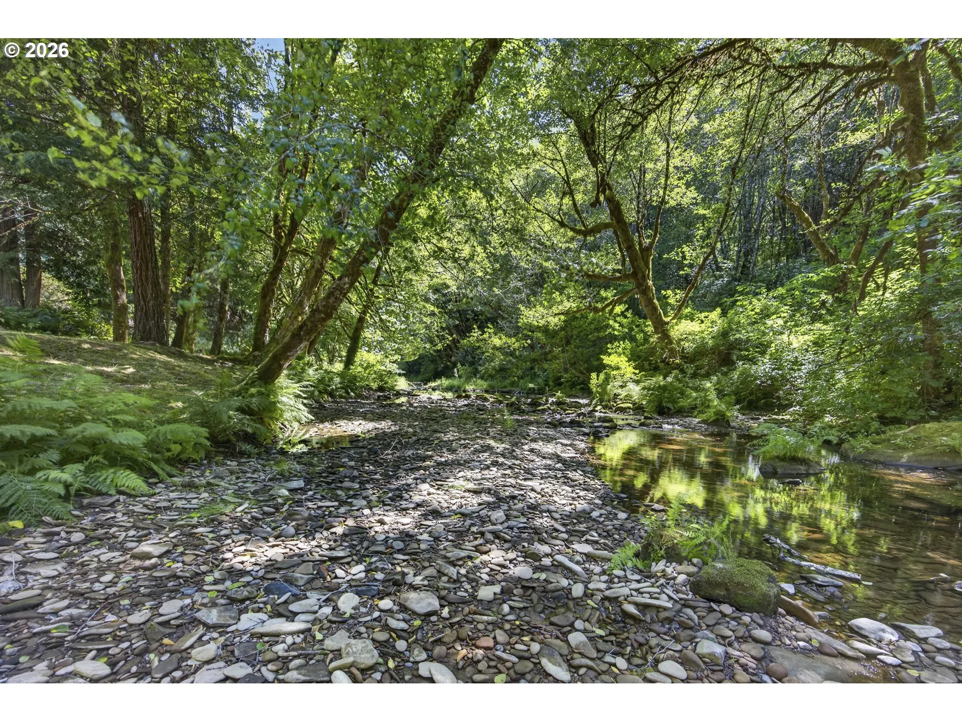 Creek-Year Round