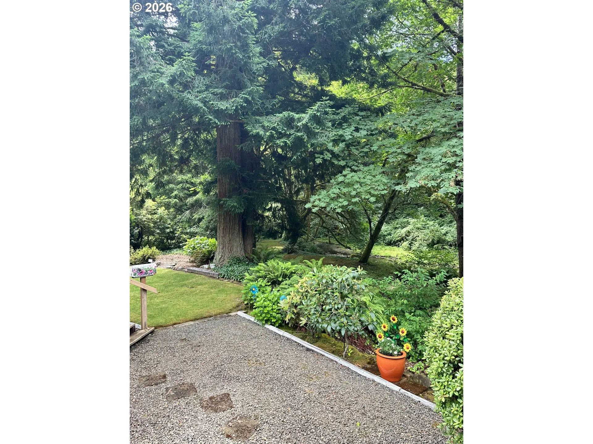 Yard-Landscaped