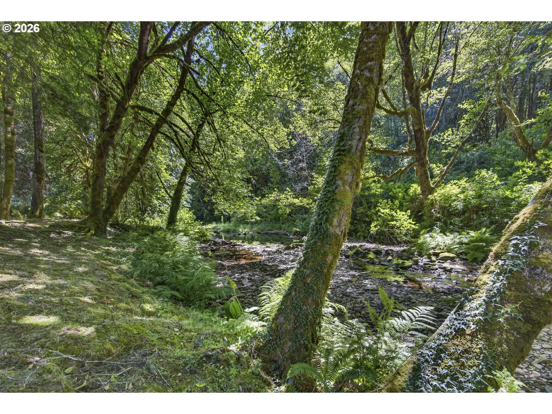 Creek-Year Round