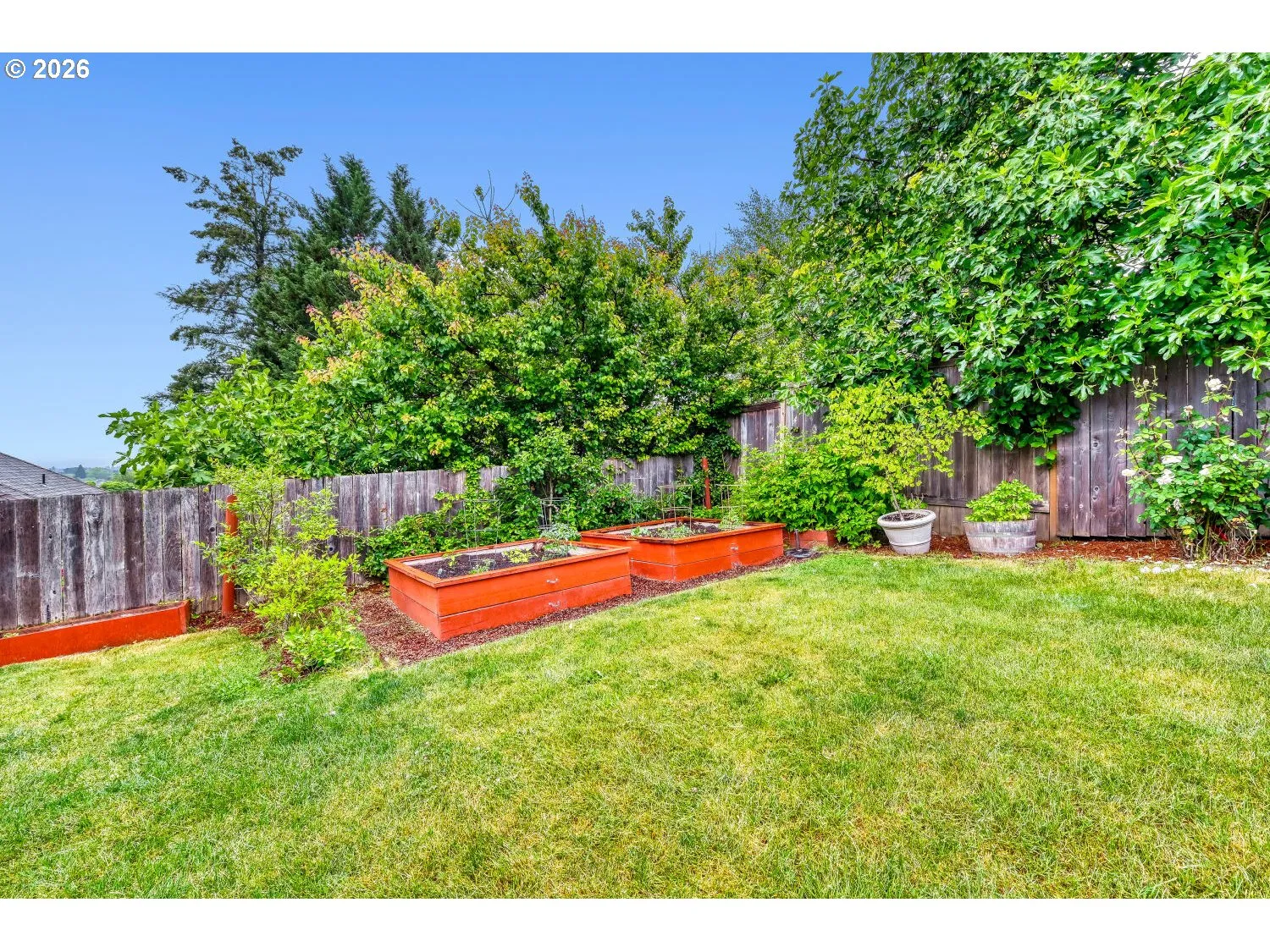 Backyard-Fenced