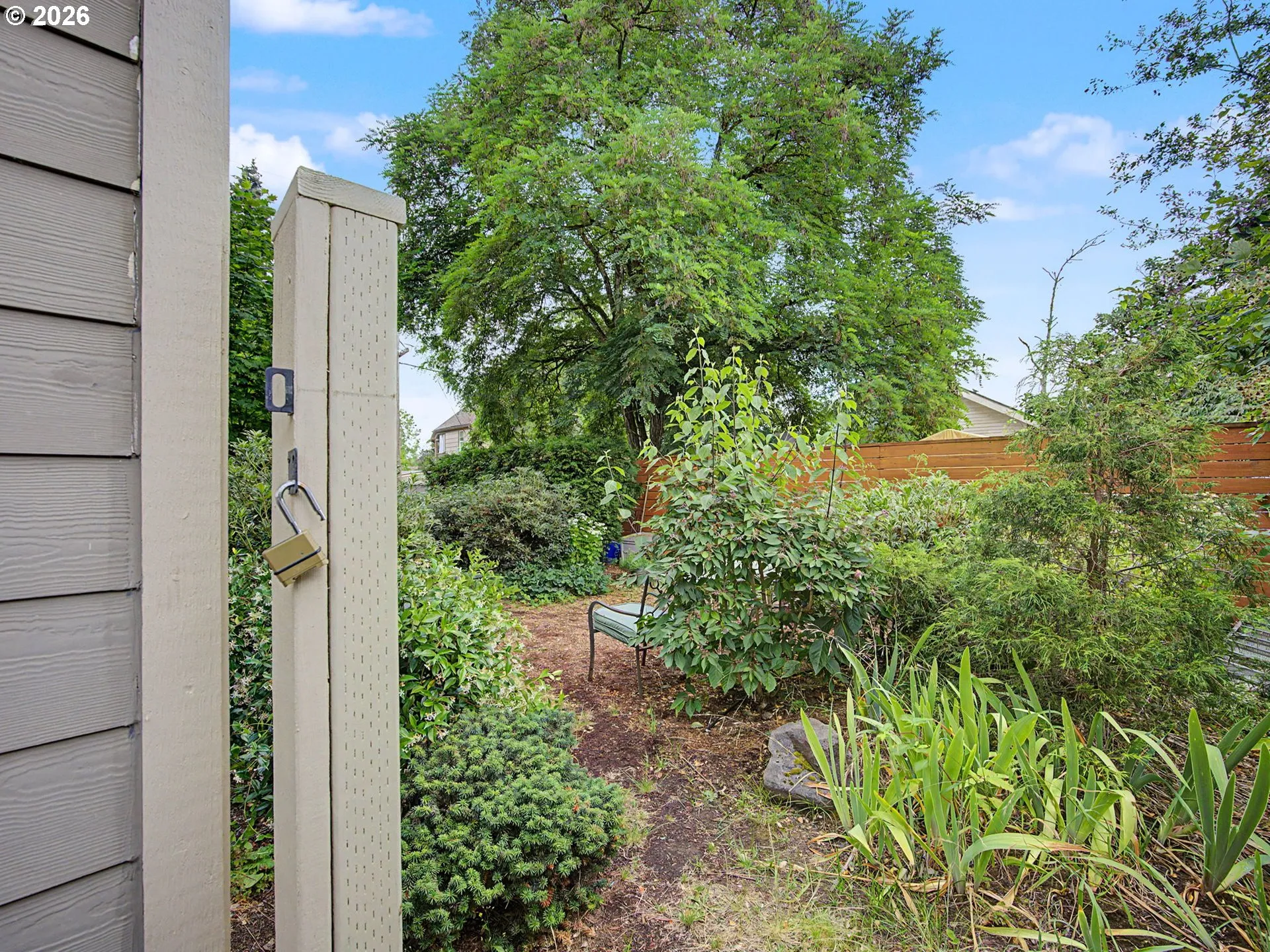 Backyard-Fenced