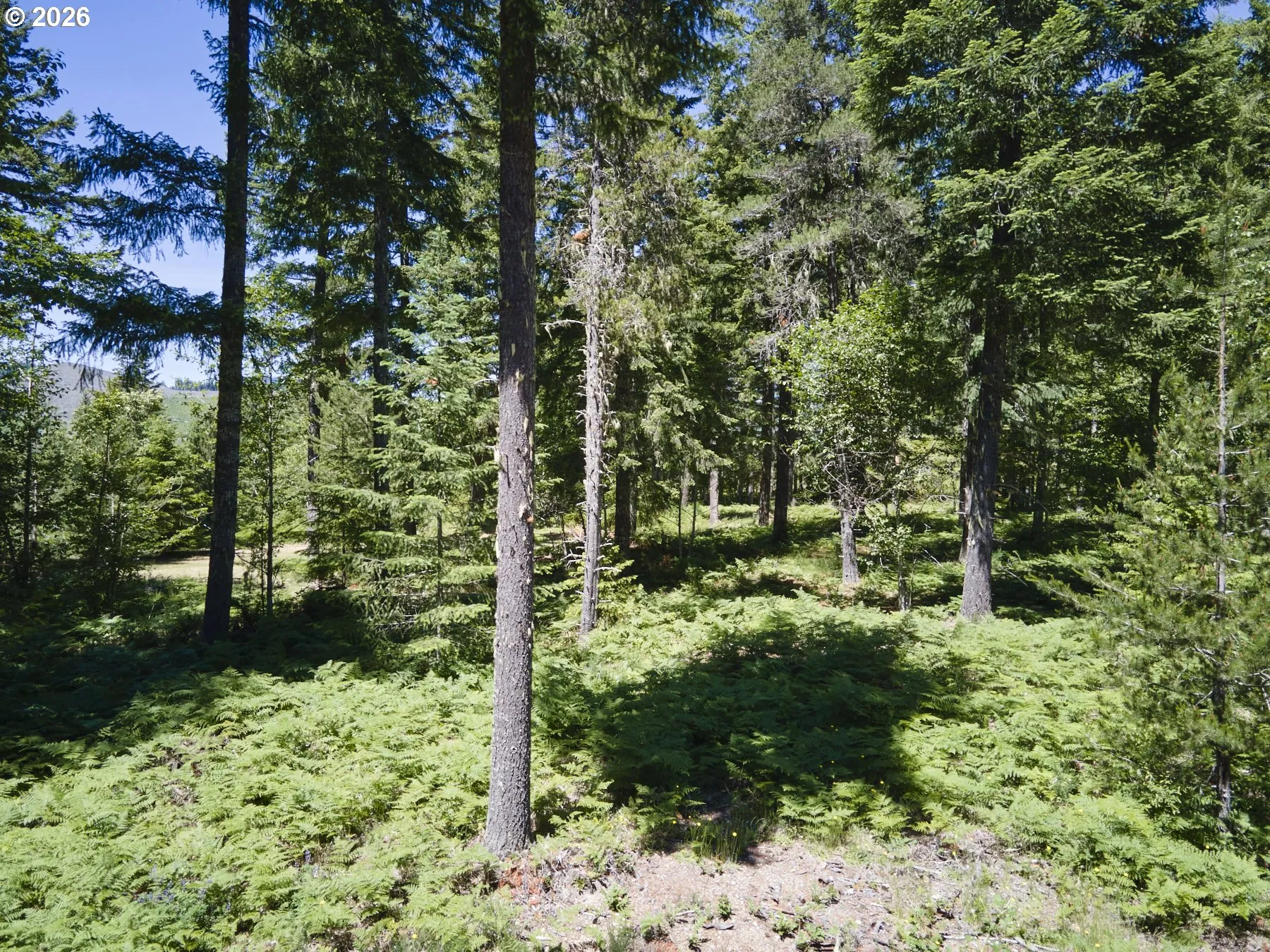 Acreage