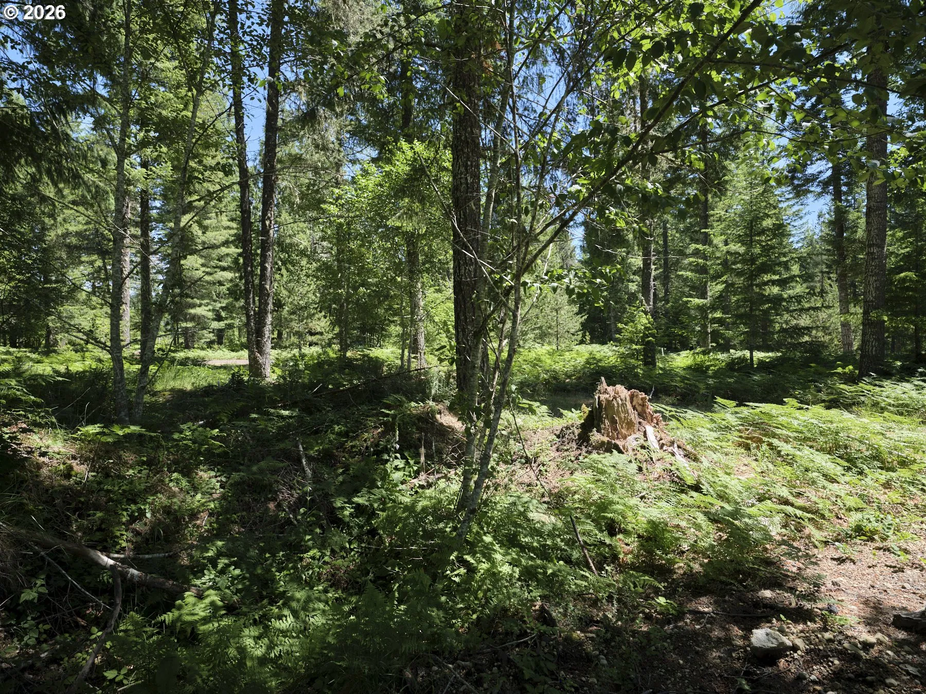 Acreage