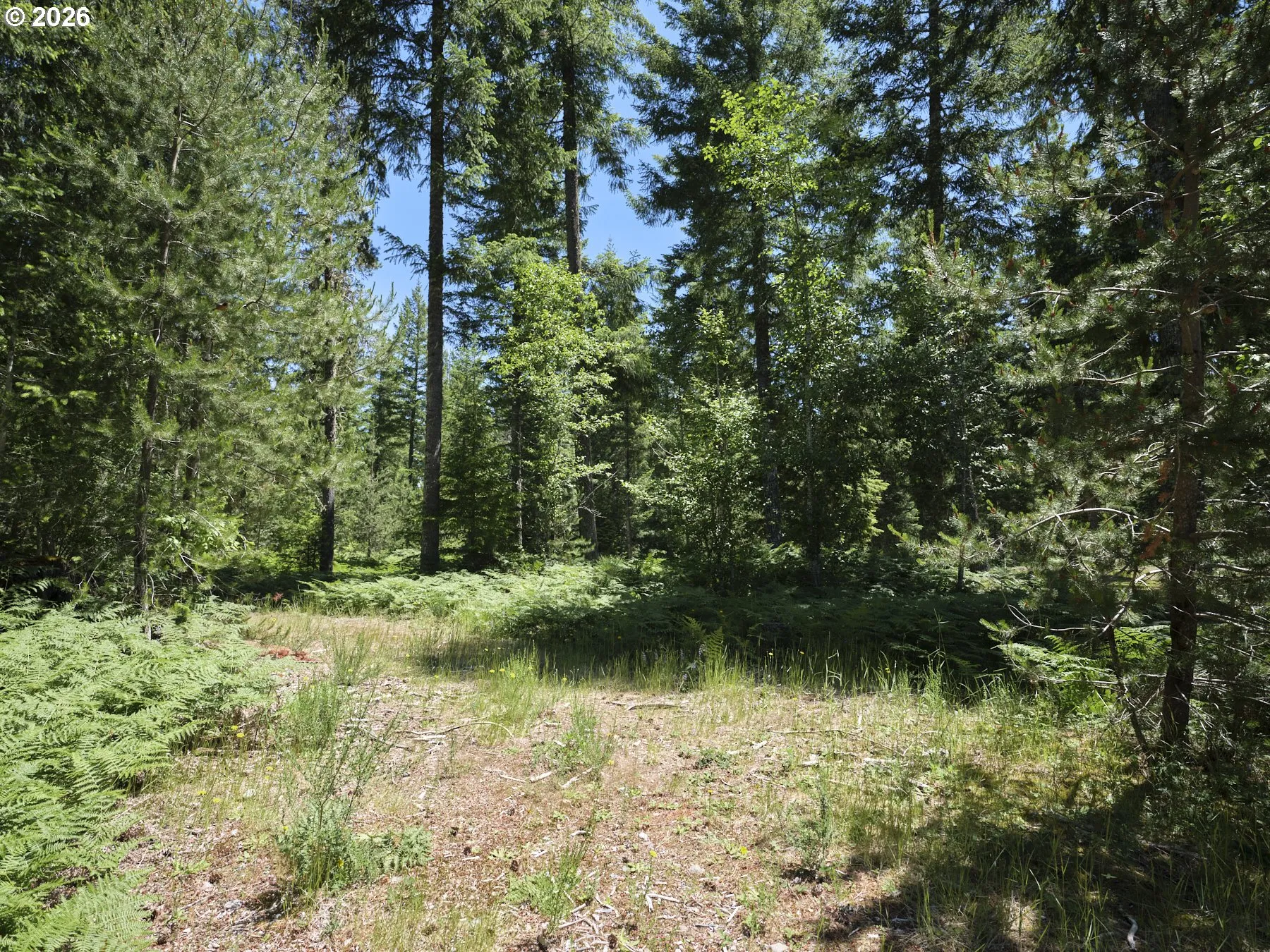 Acreage