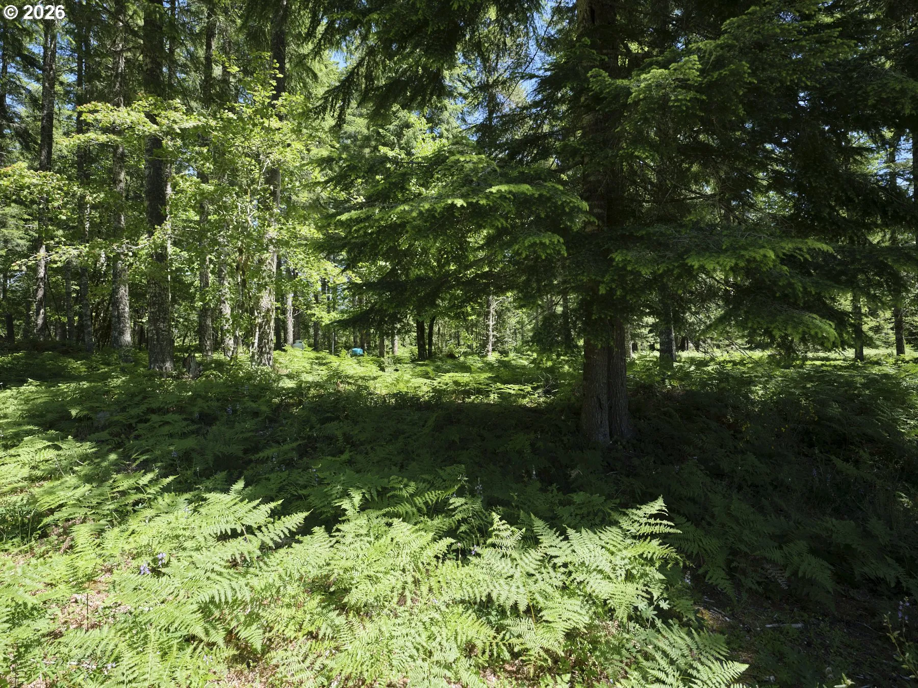 Acreage