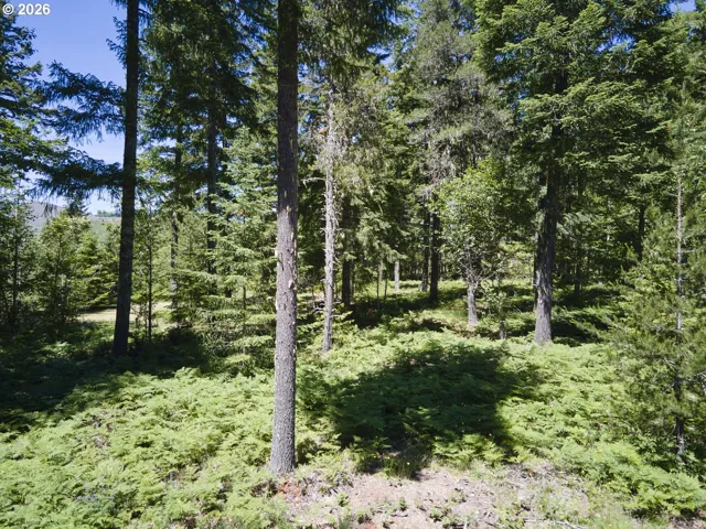 Acreage