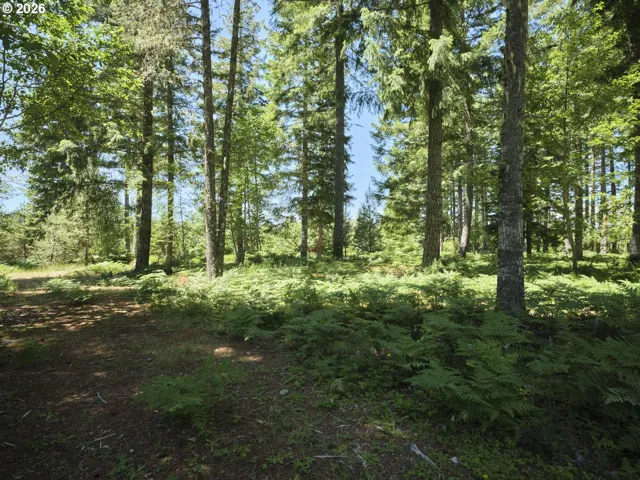 Acreage