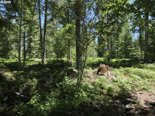 Acreage