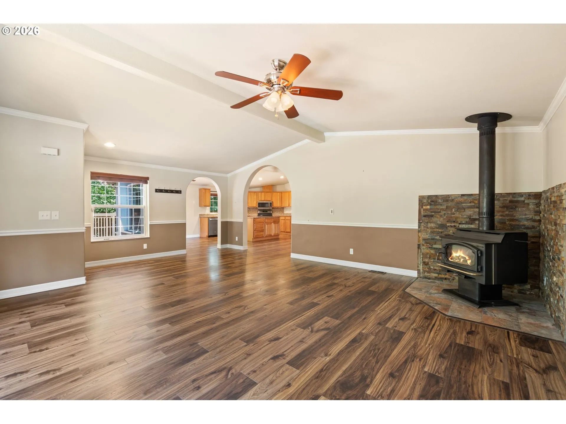 Fireplace Wood Burning Stove/Insert