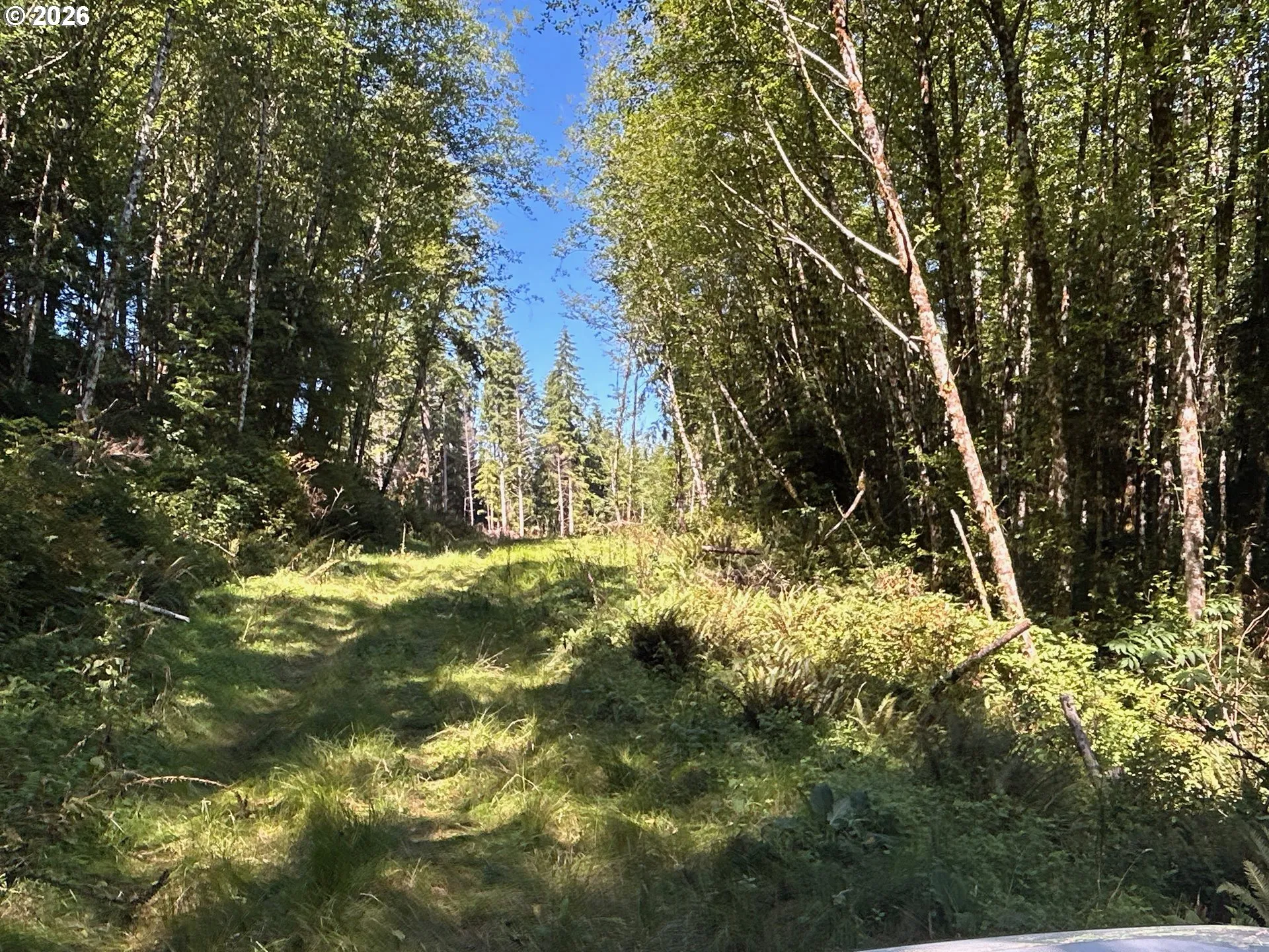 Acreage