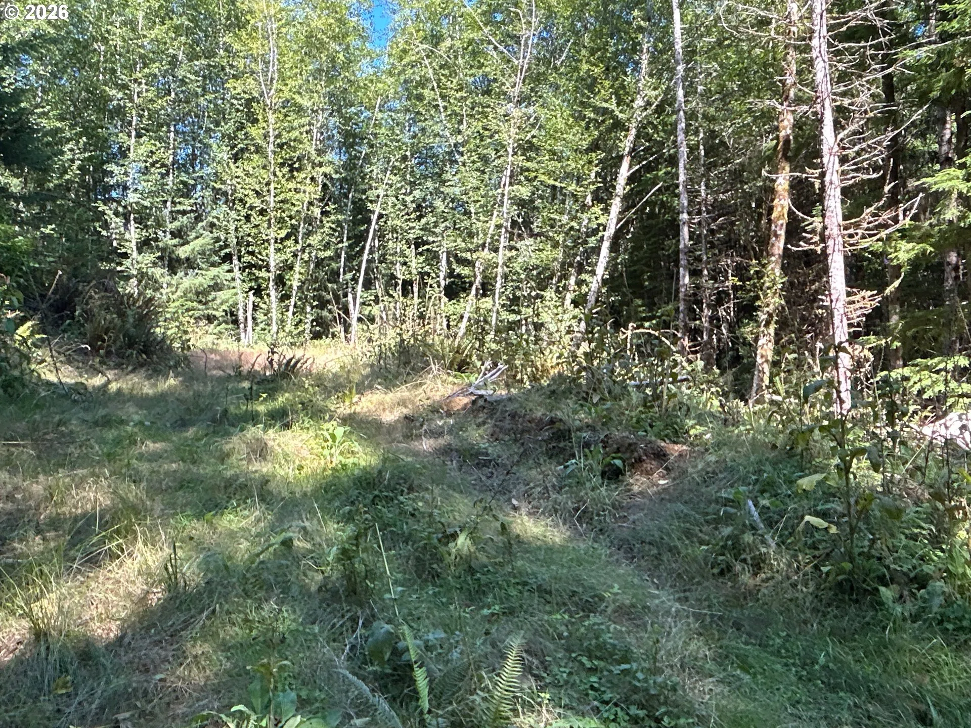 Acreage