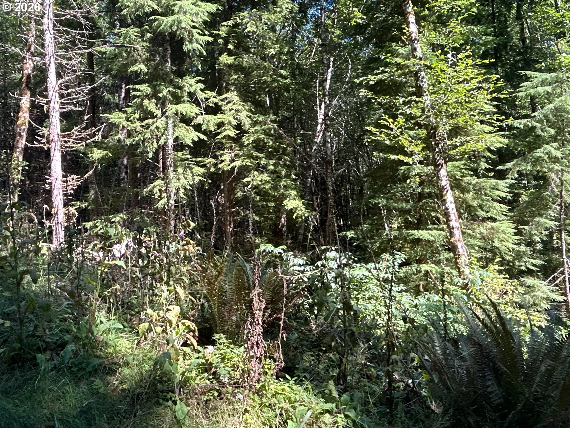Acreage