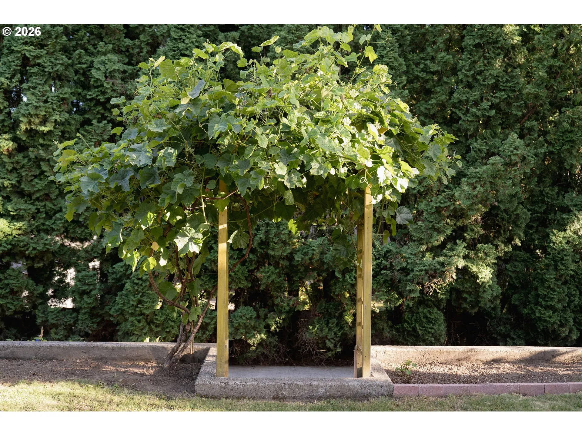 Yard-Back