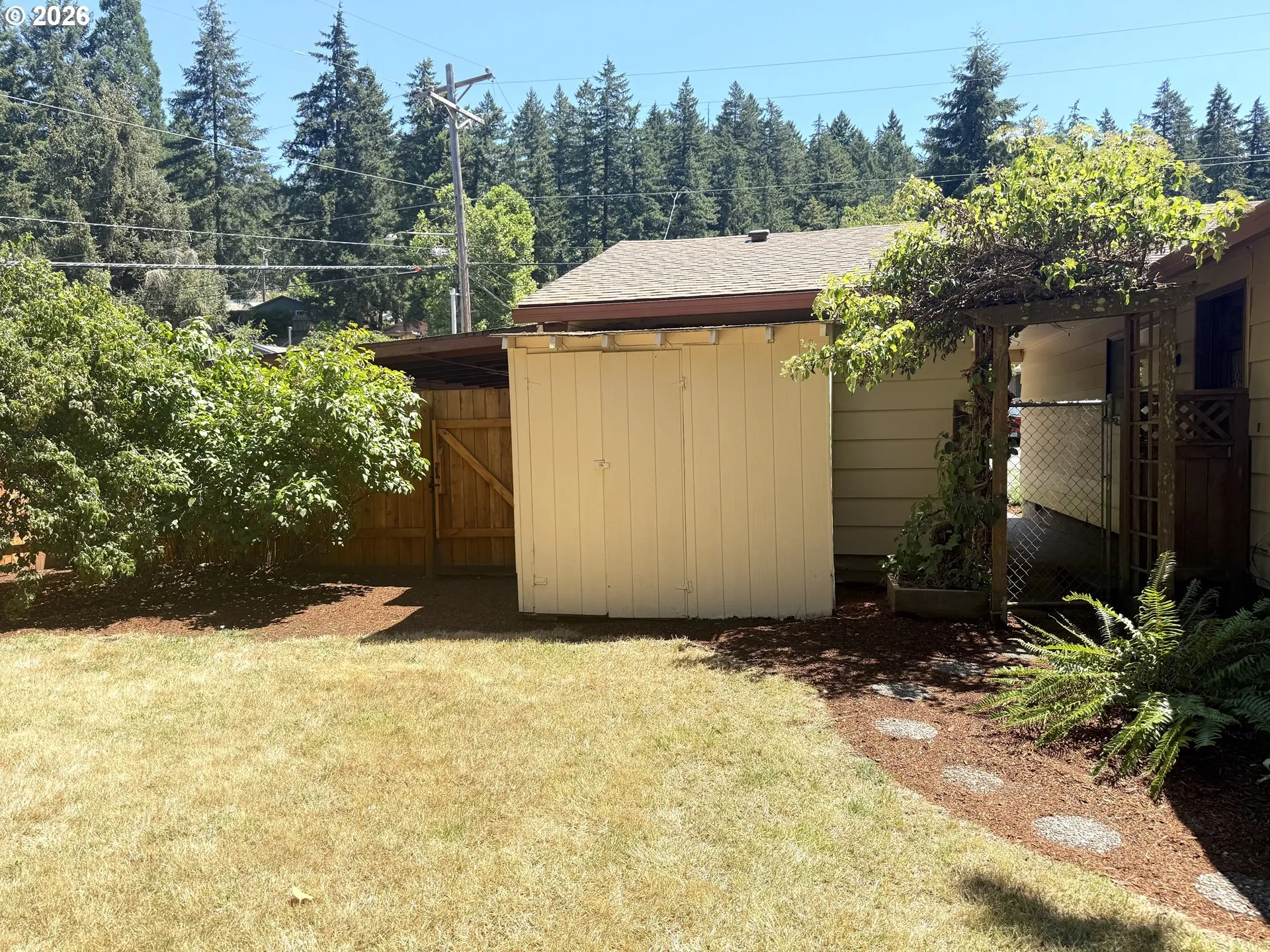 Shed