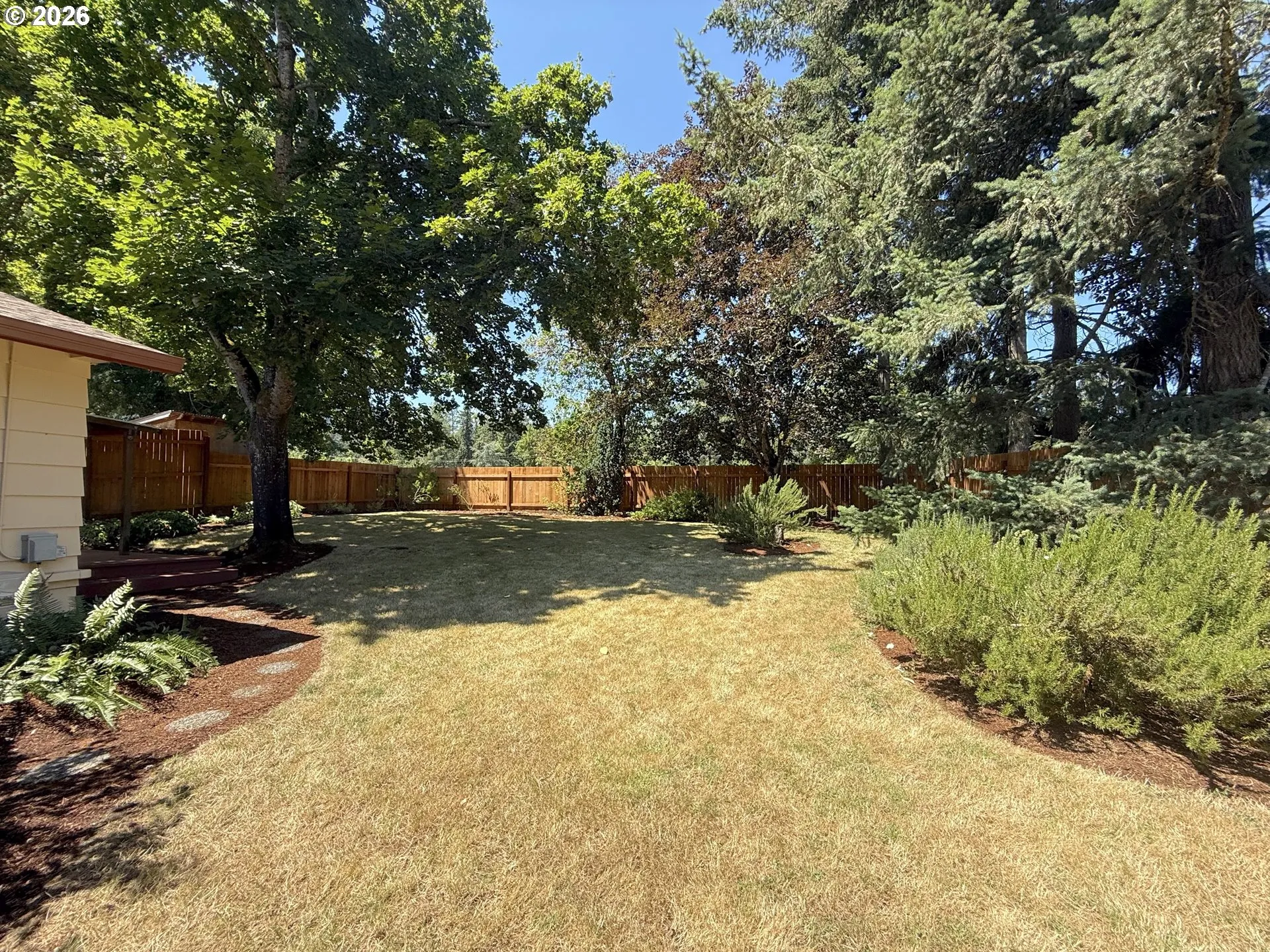 Backyard-Fenced