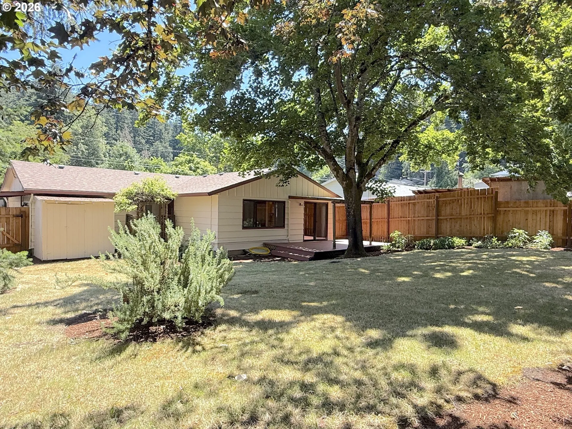 Backyard-Fenced