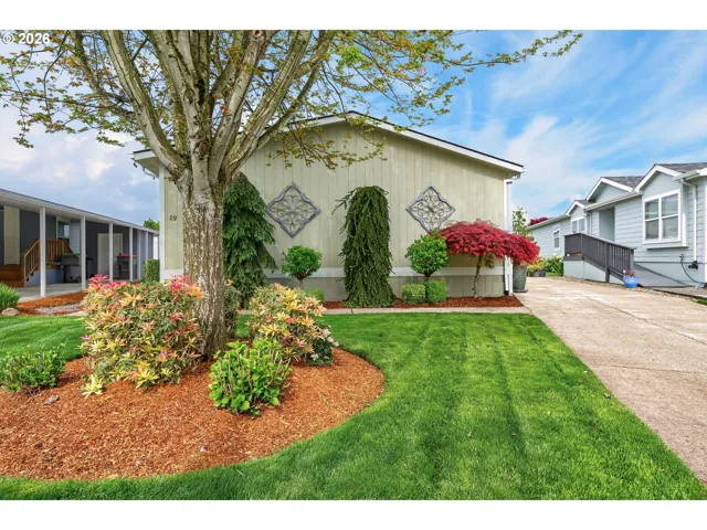 Front Yard